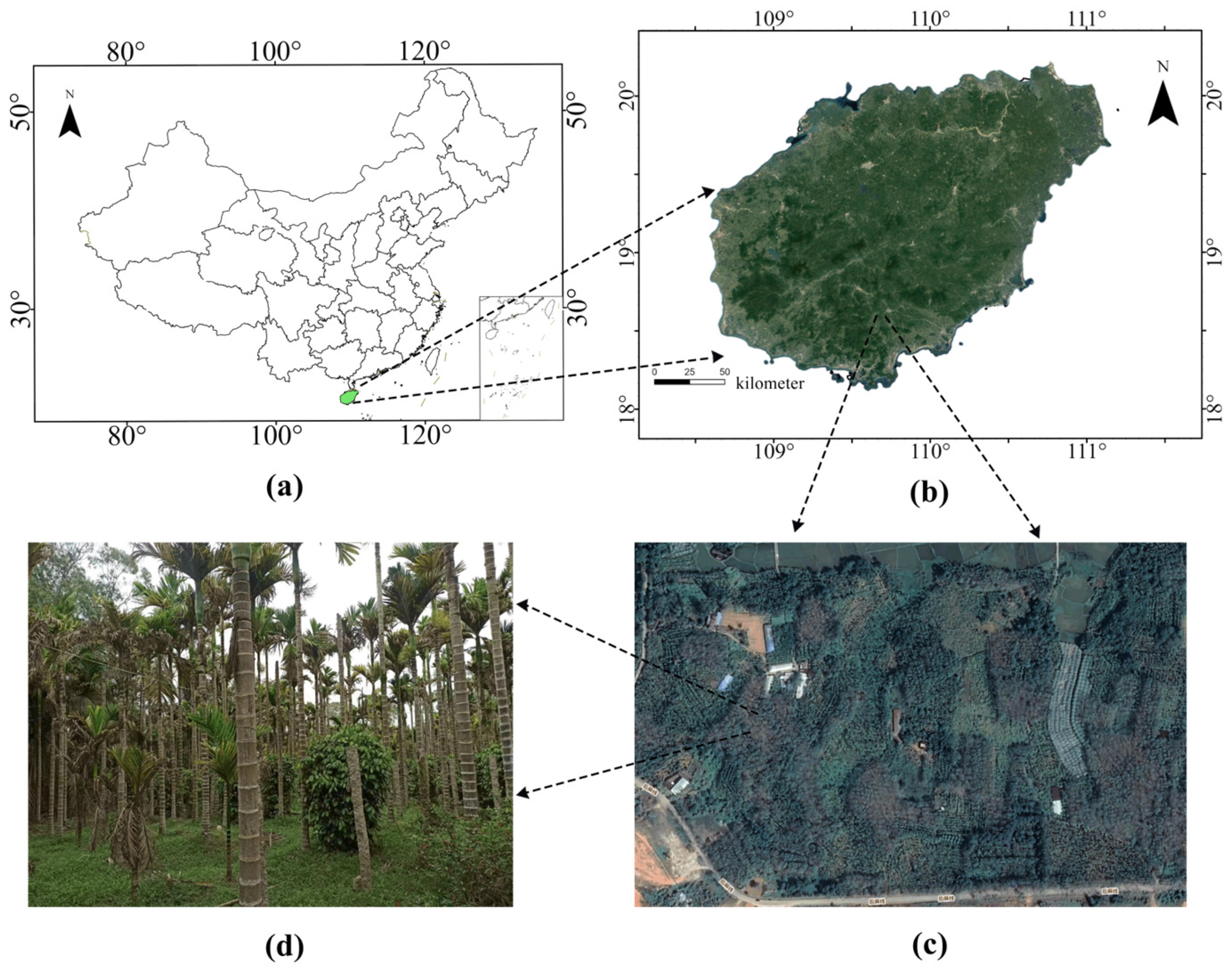 Forests 15 01679 g002