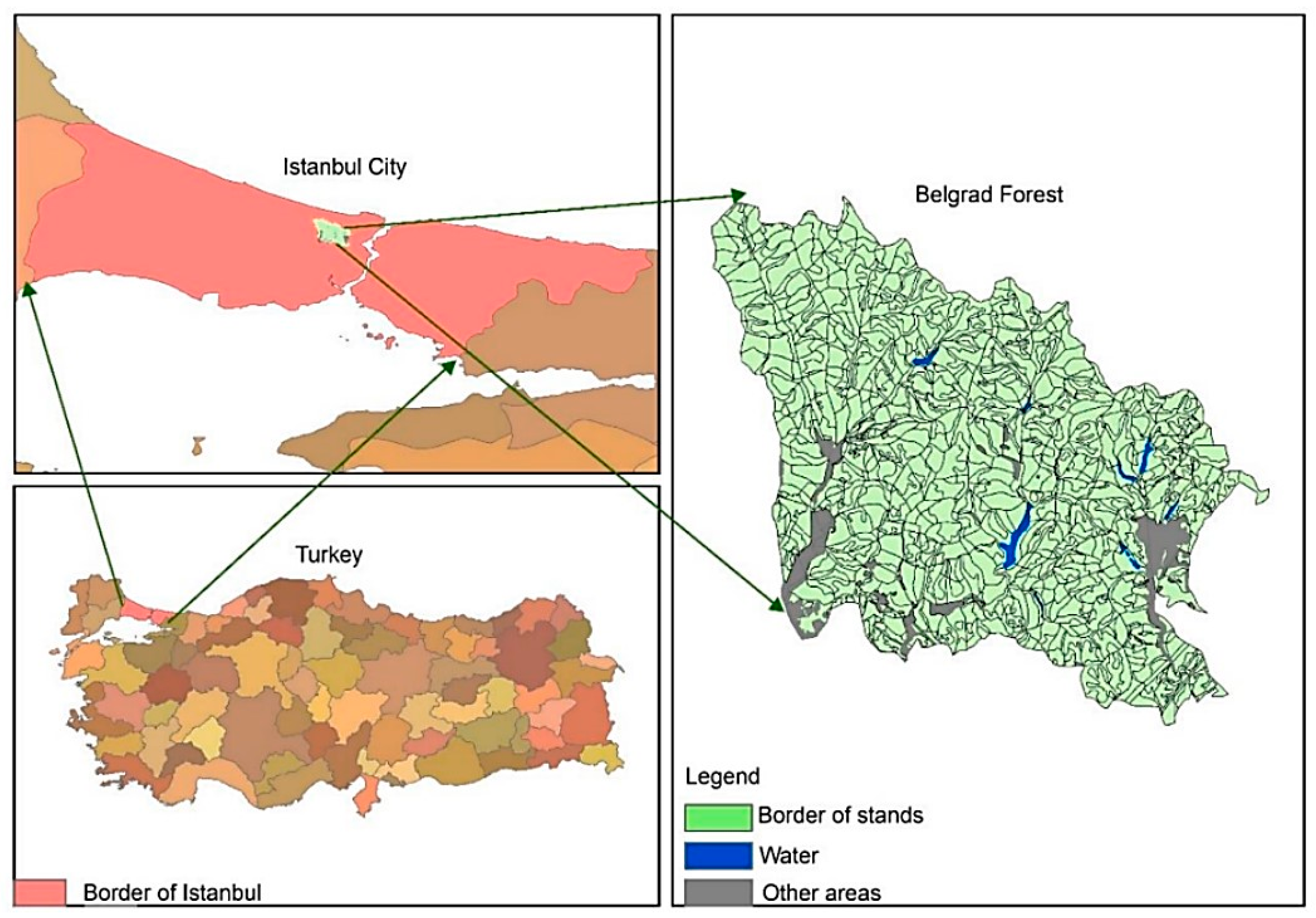 Forests 15 01687 g001