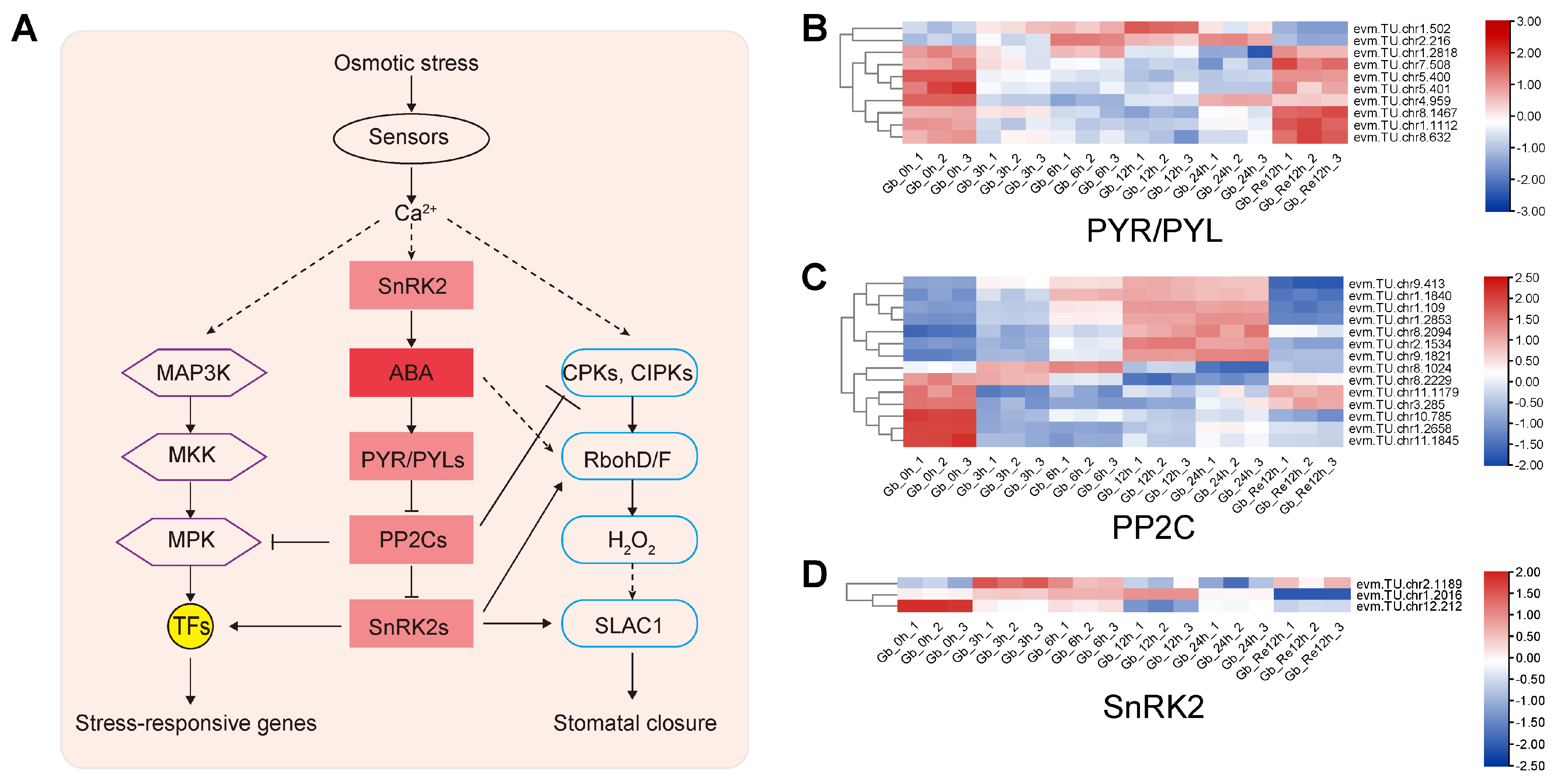 Forests 15 01690 g005