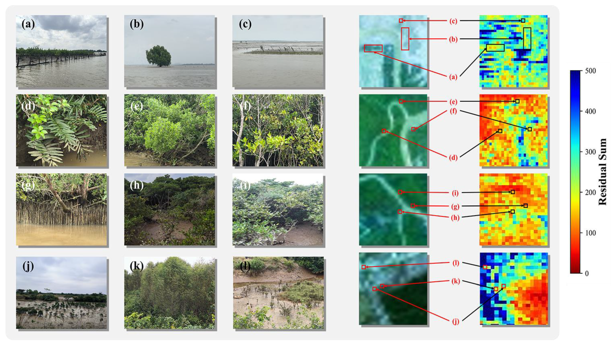 Forests 15 01696 g014