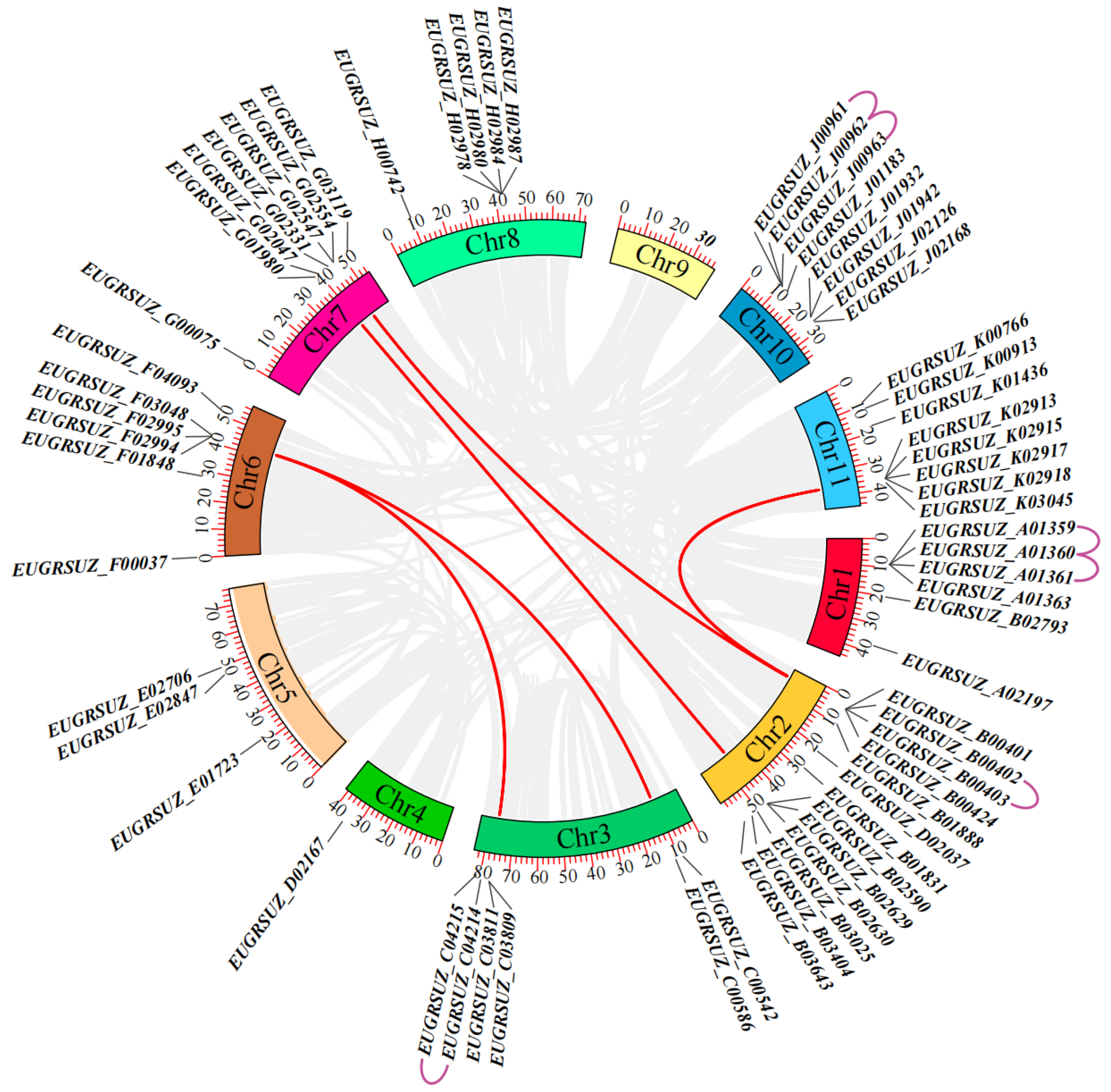 Forests 15 01697 g002