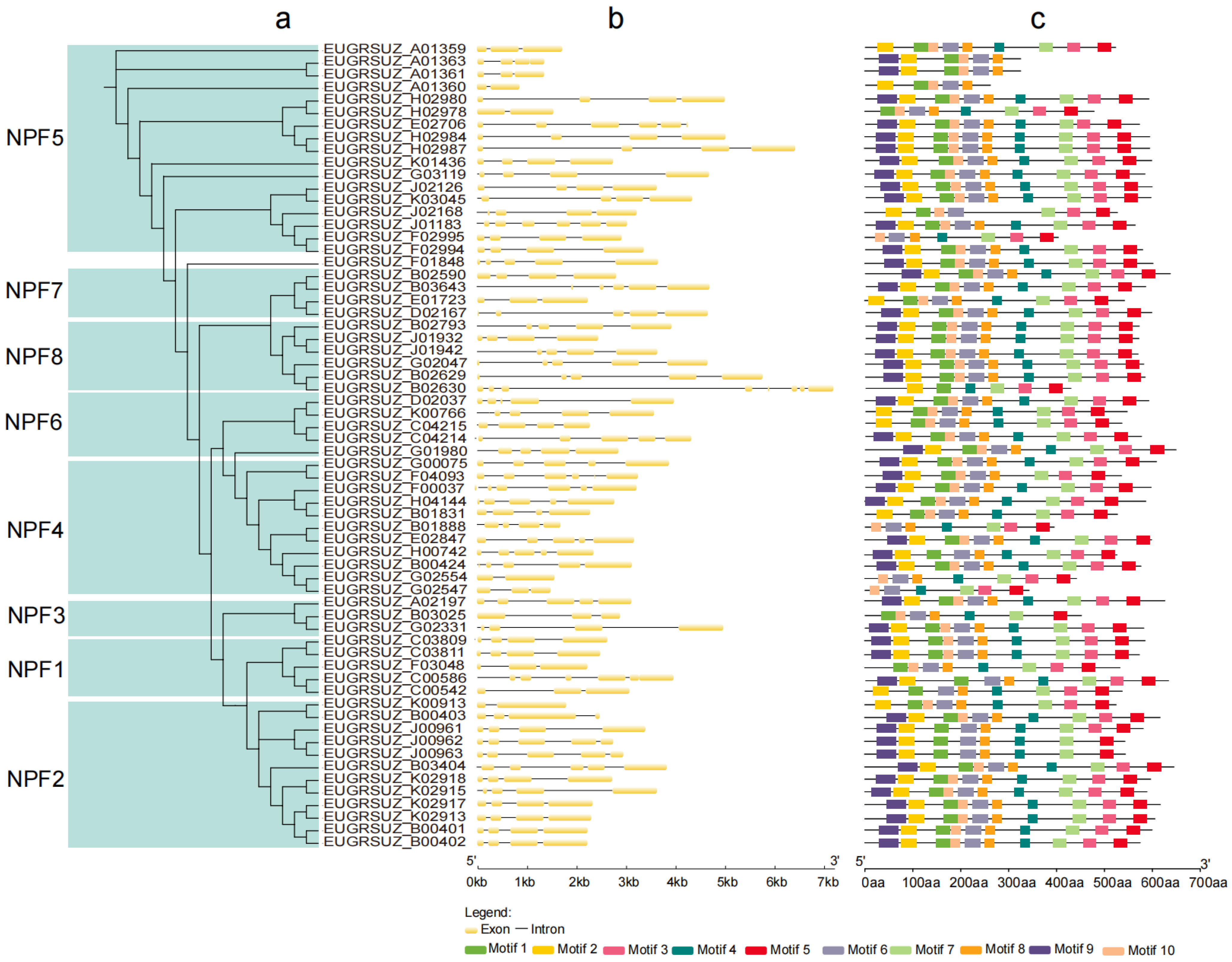 Forests 15 01697 g005