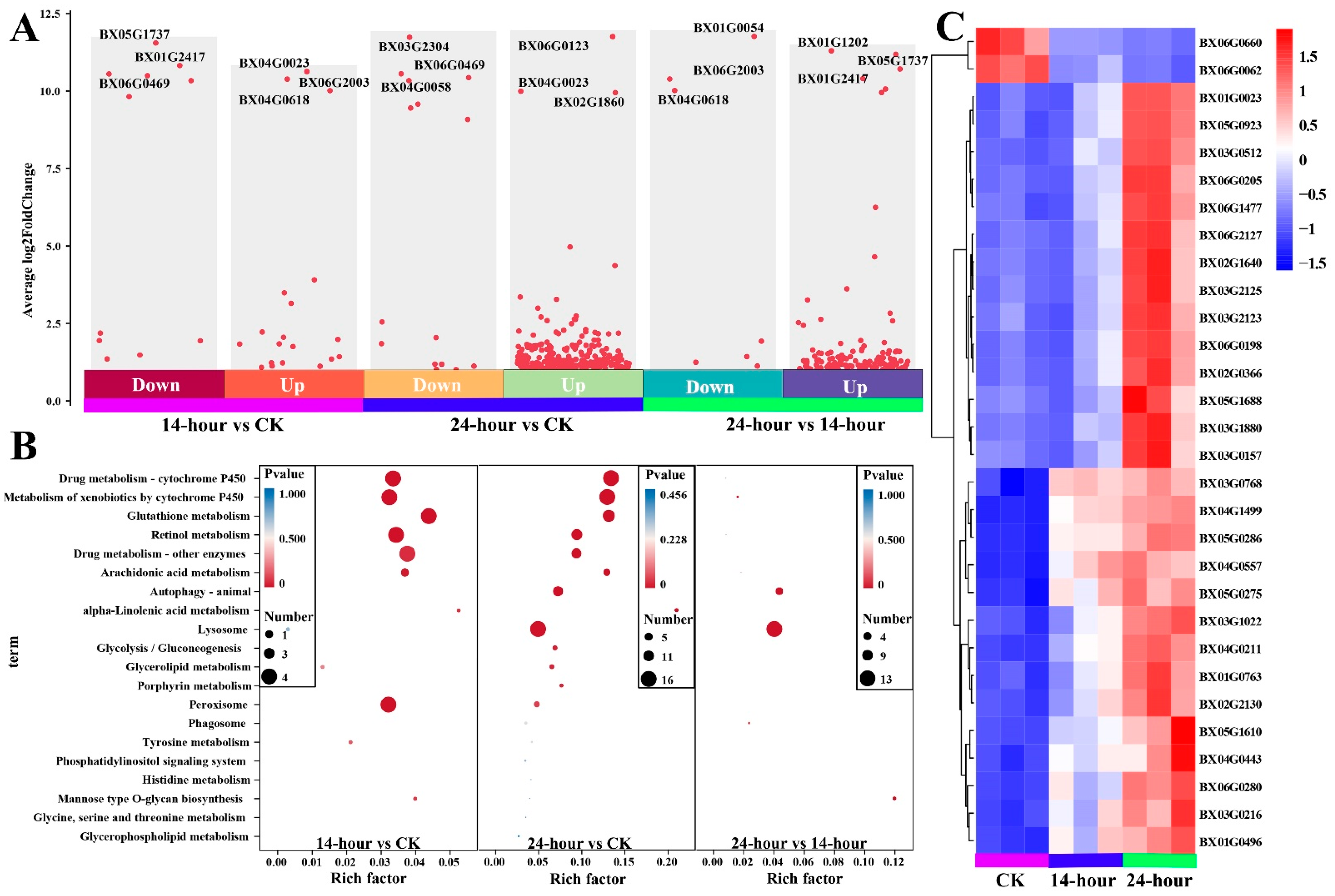 Forests 15 01699 g003