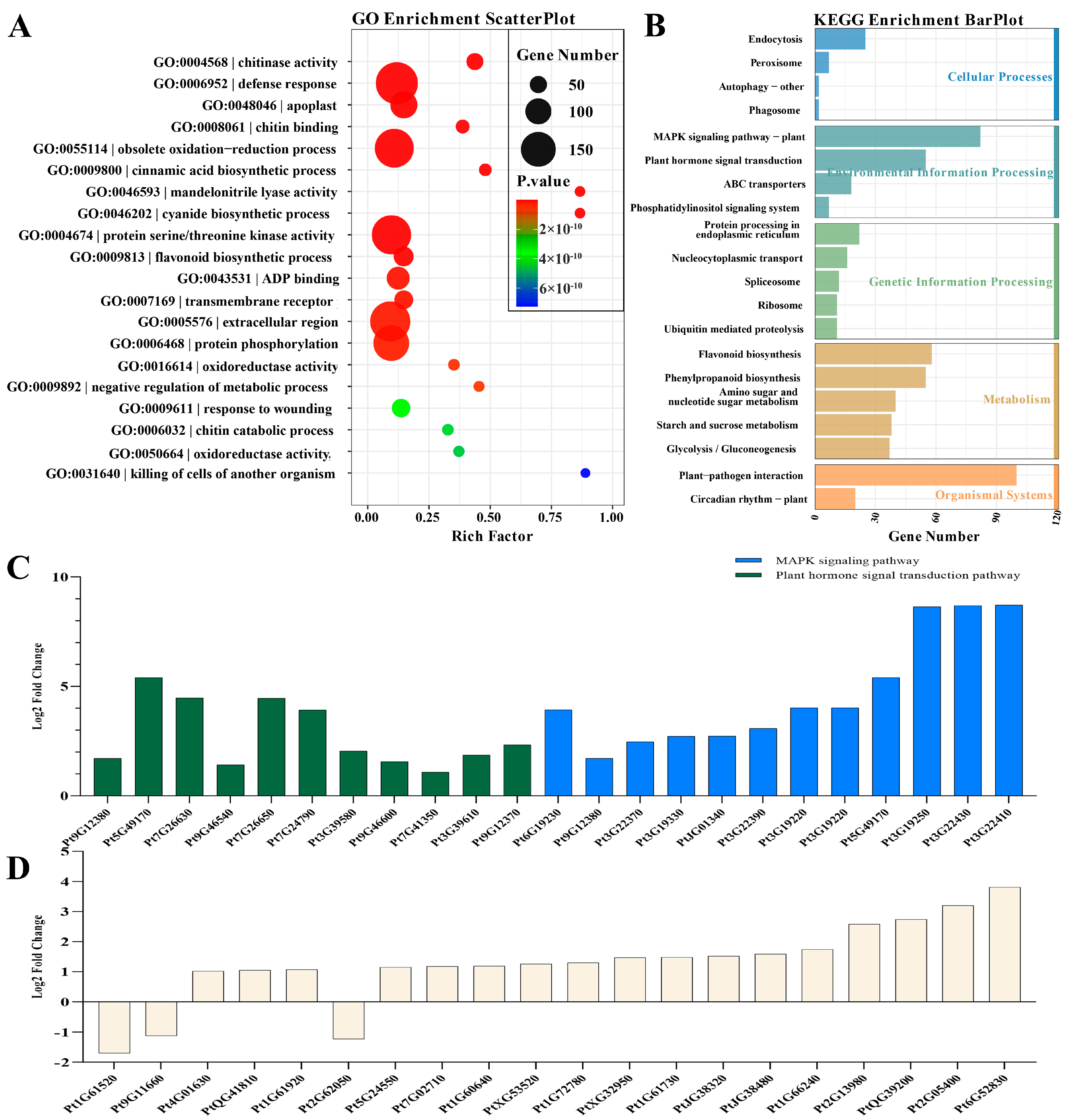 Forests 15 01699 g006