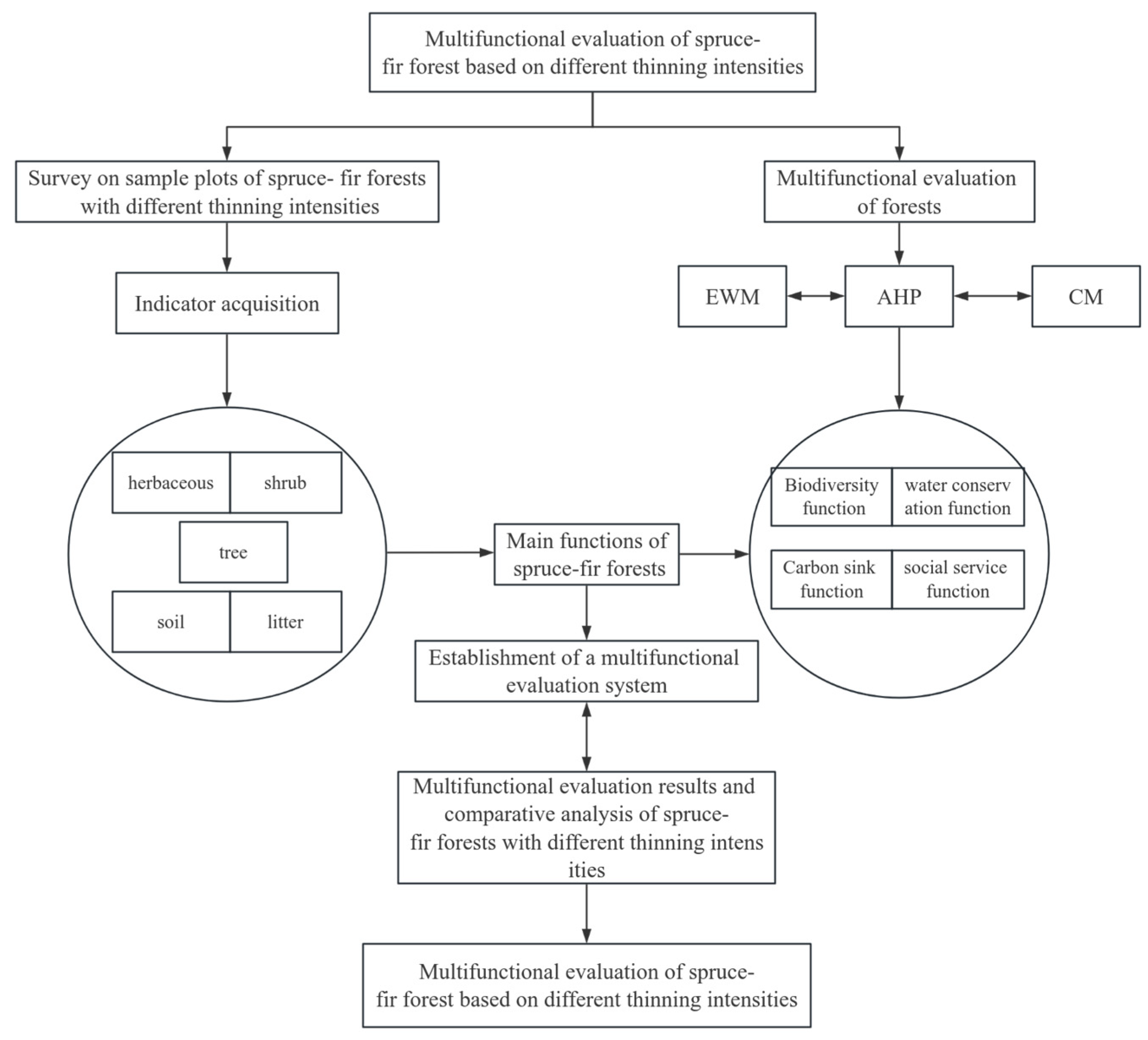 Forests 15 01703 g003