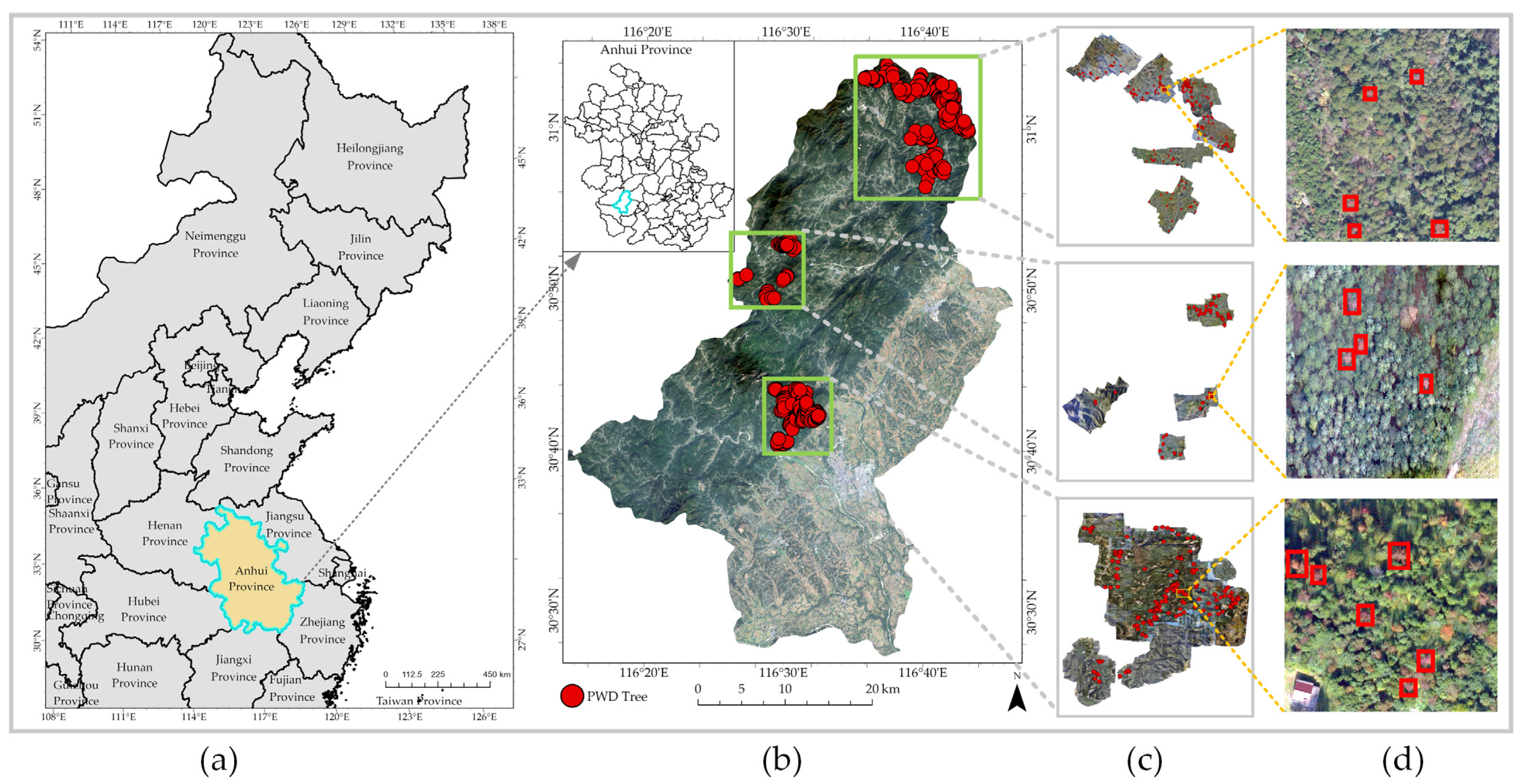 Forests 15 01706 g001