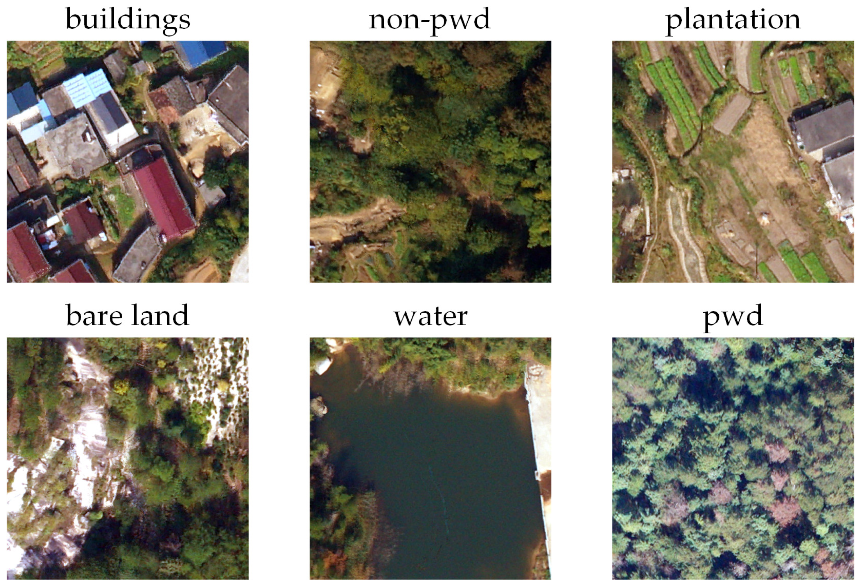 Forests 15 01706 g002