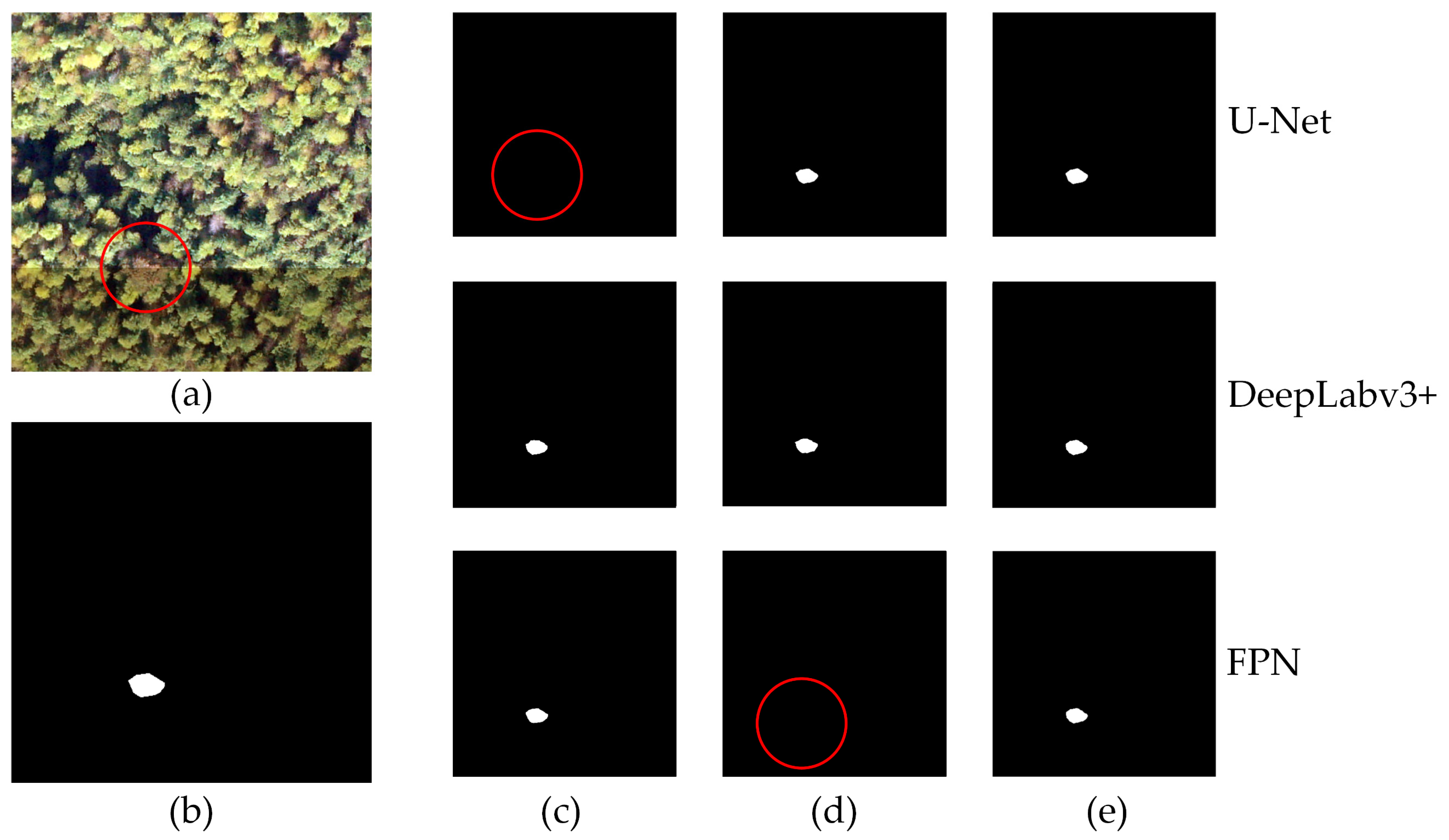 Forests 15 01706 g007