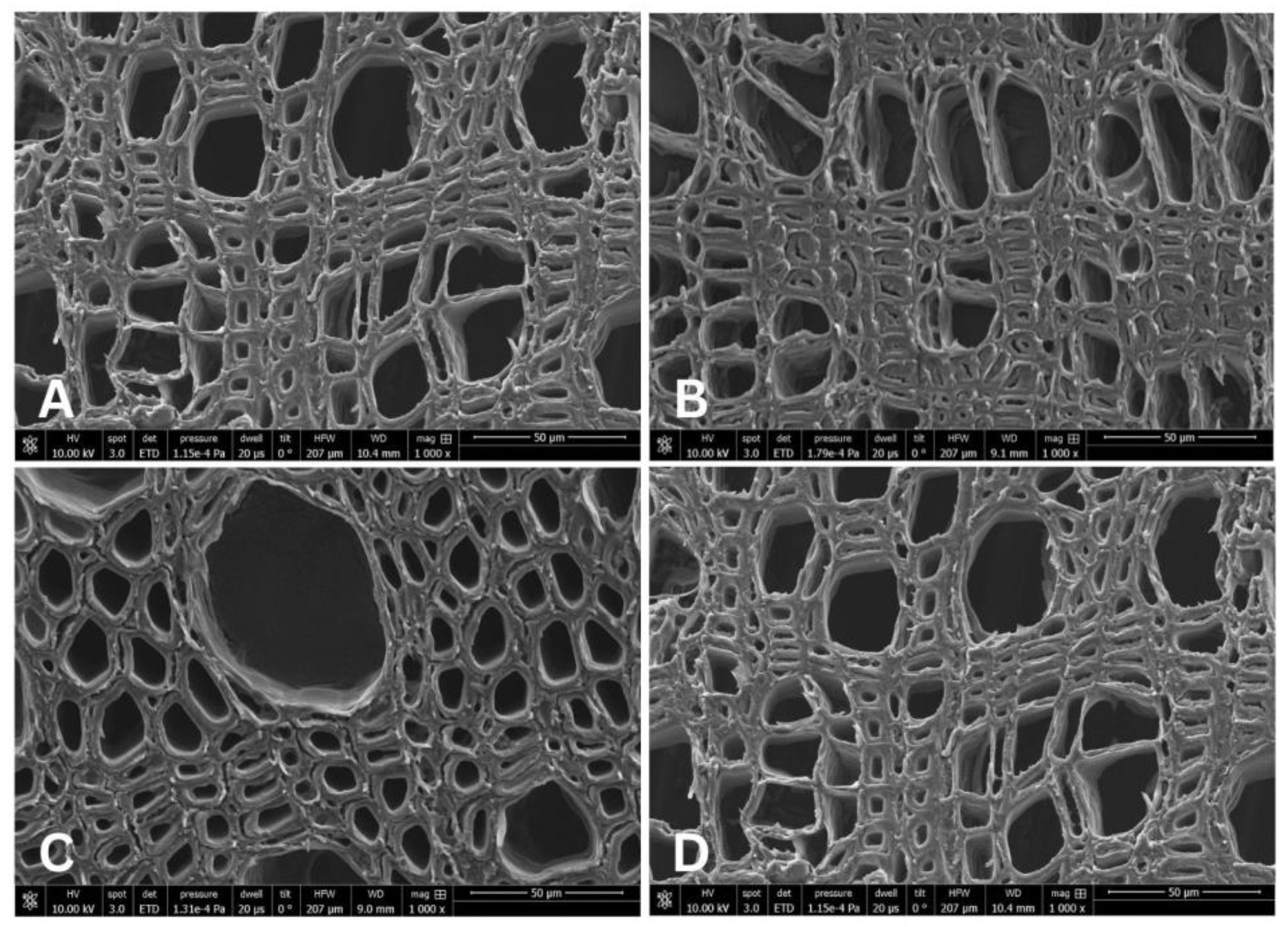 Forests 15 01707 g004 Forests 15 01707 g004