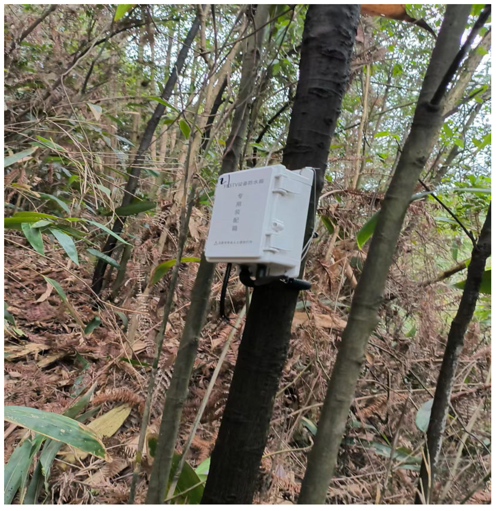 Forests 15 01710 g003