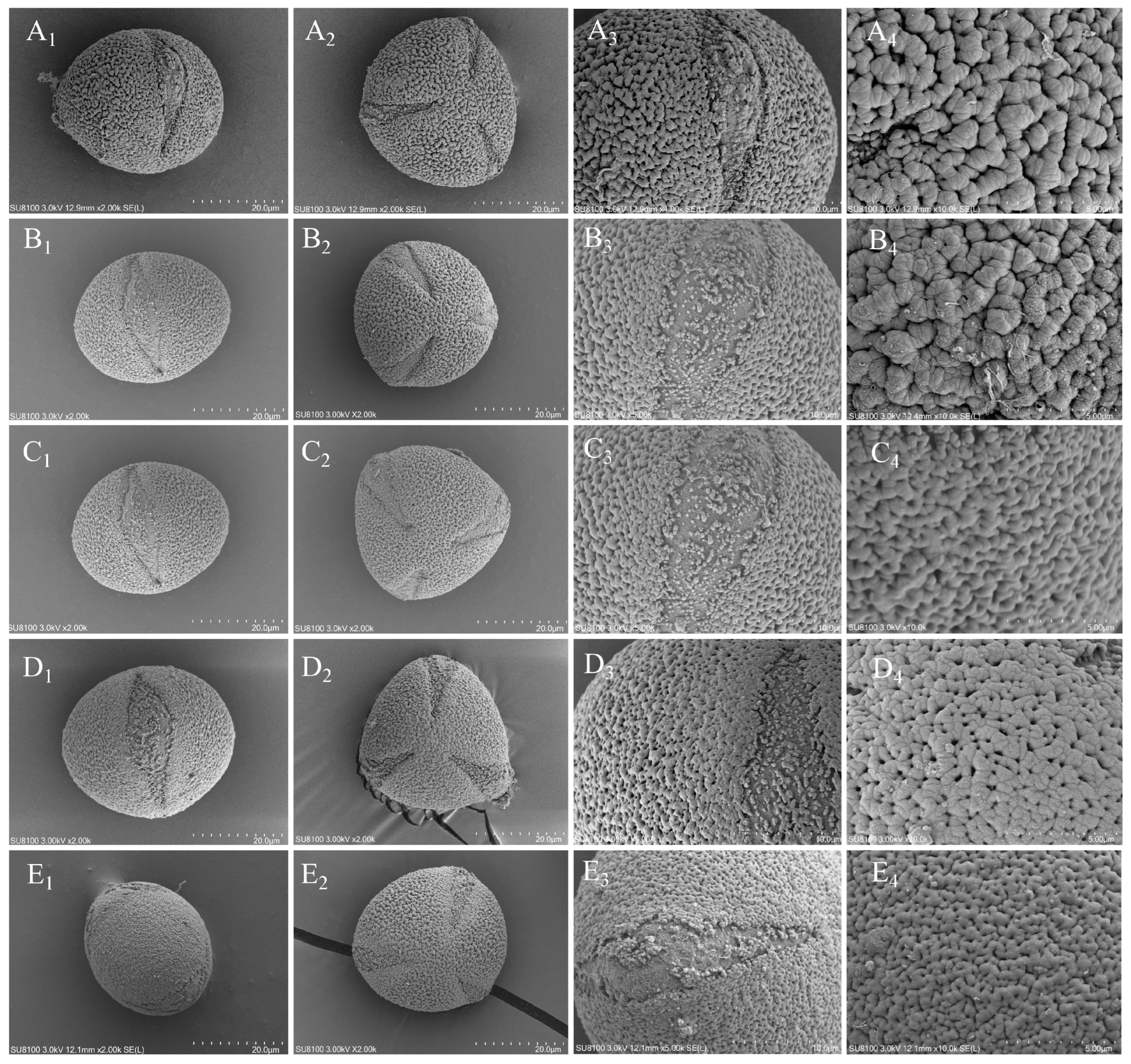 Forests 15 01718 g003