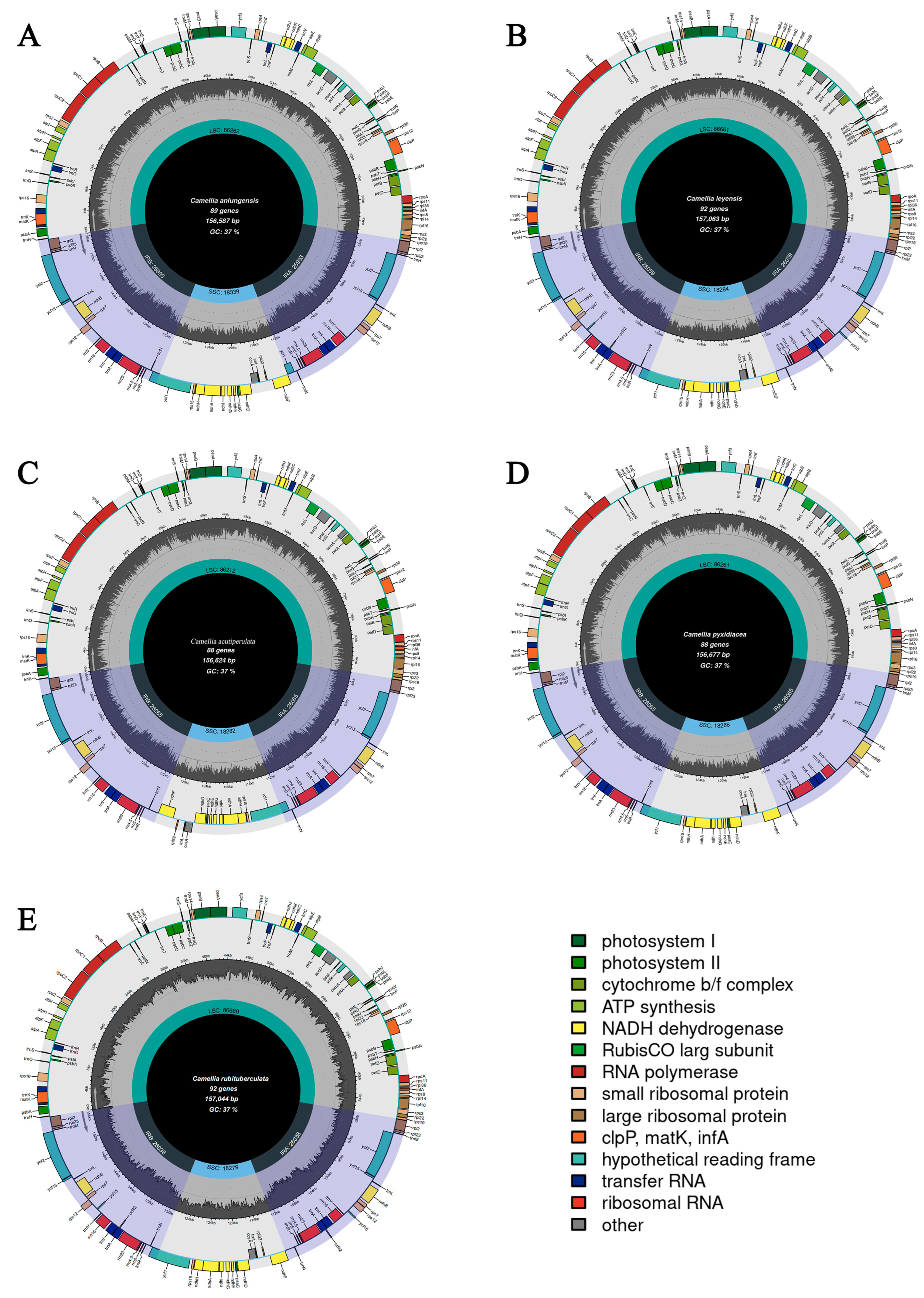 Forests 15 01718 g004