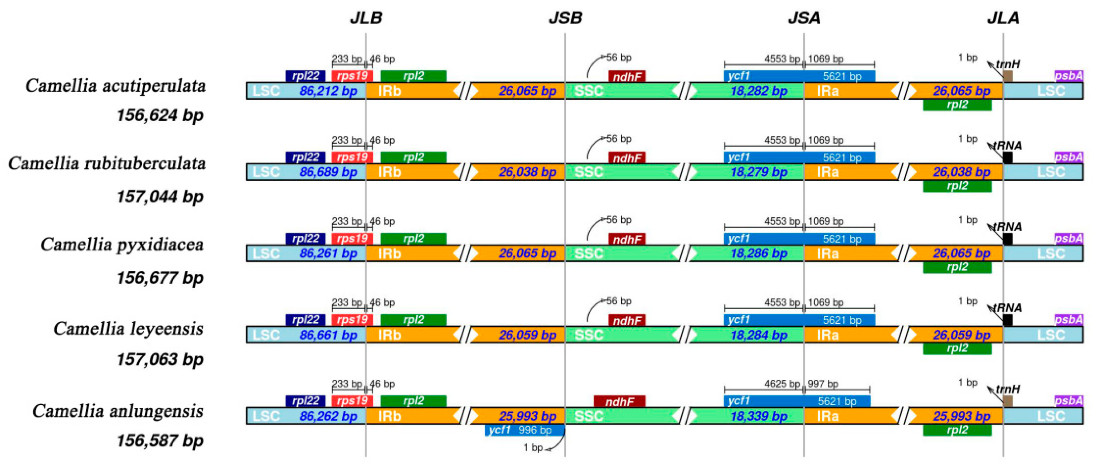 Forests 15 01718 g005