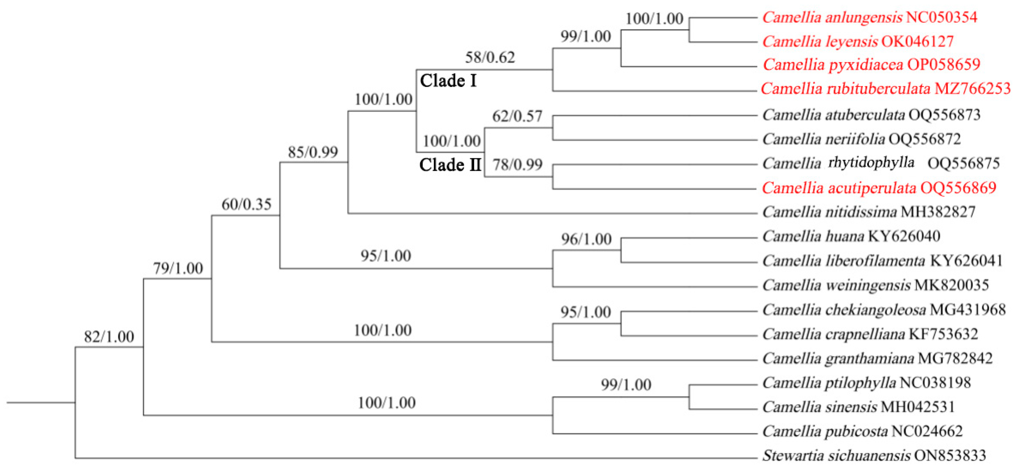 Forests 15 01718 g006