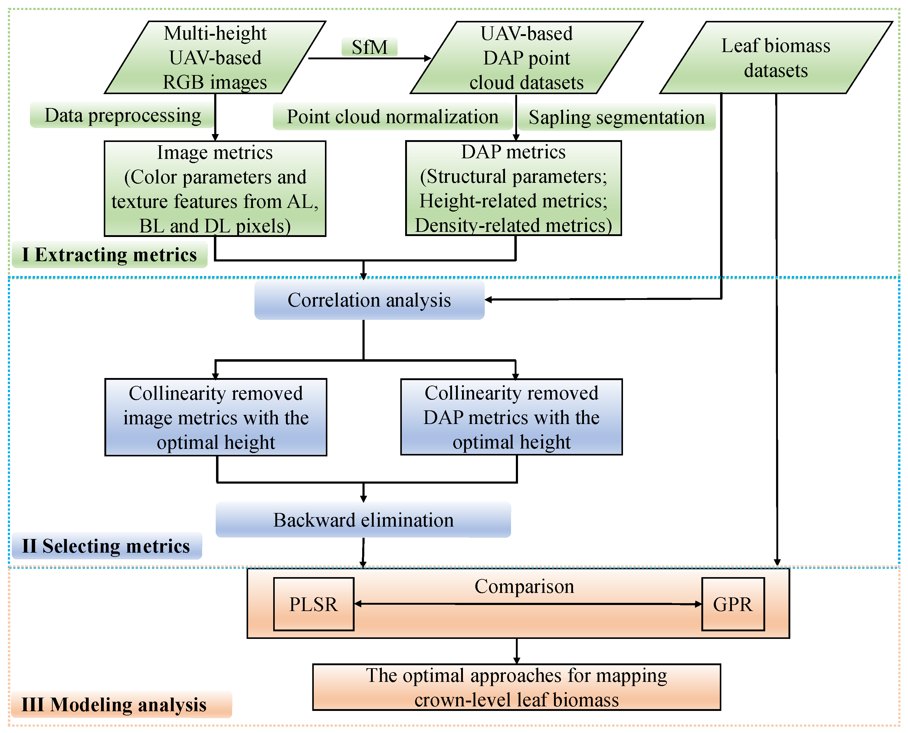 Forests 15 01720 g001 Forests 15 01720 g001