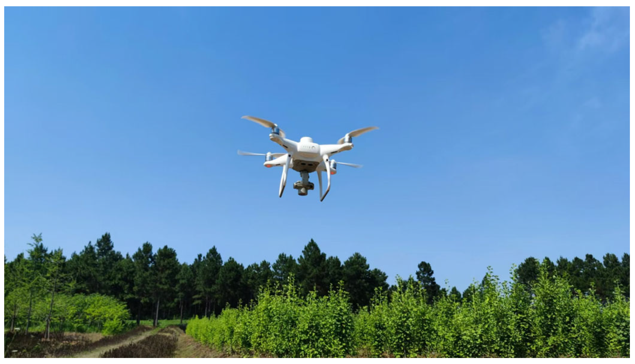 Forests 15 01720 g003 Forests 15 01720 g003