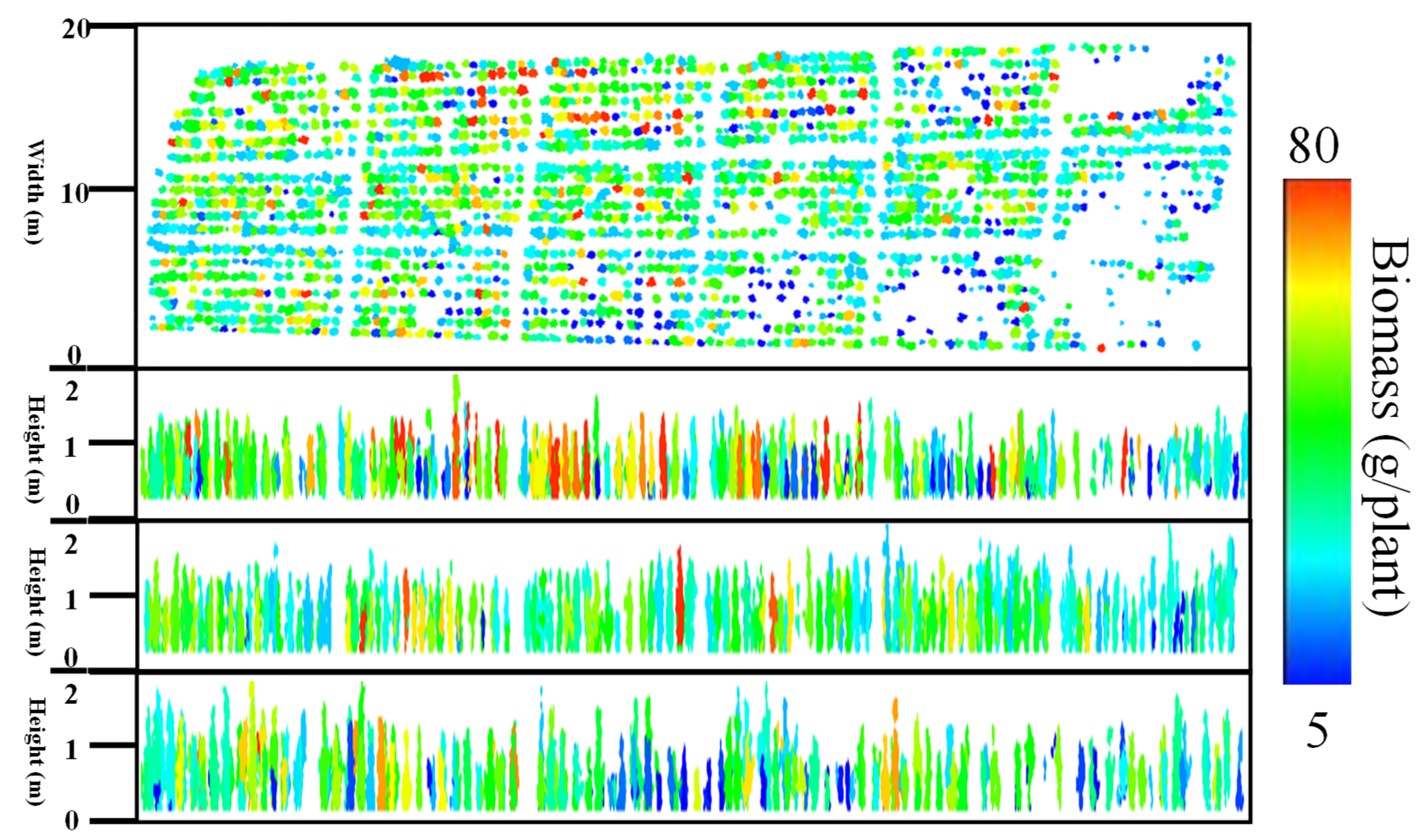Forests 15 01720 g008 Forests 15 01720 g008