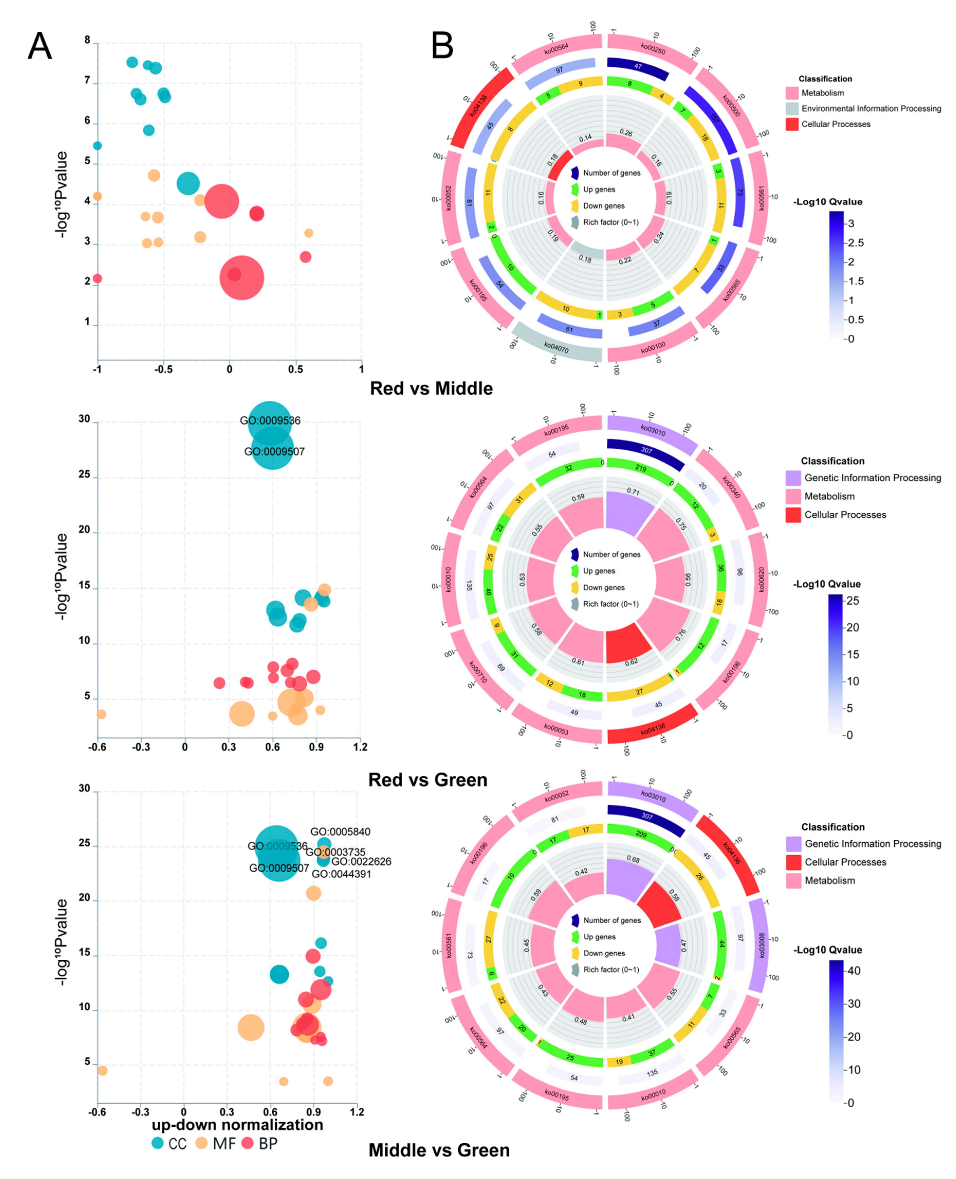 Forests 15 01723 g002