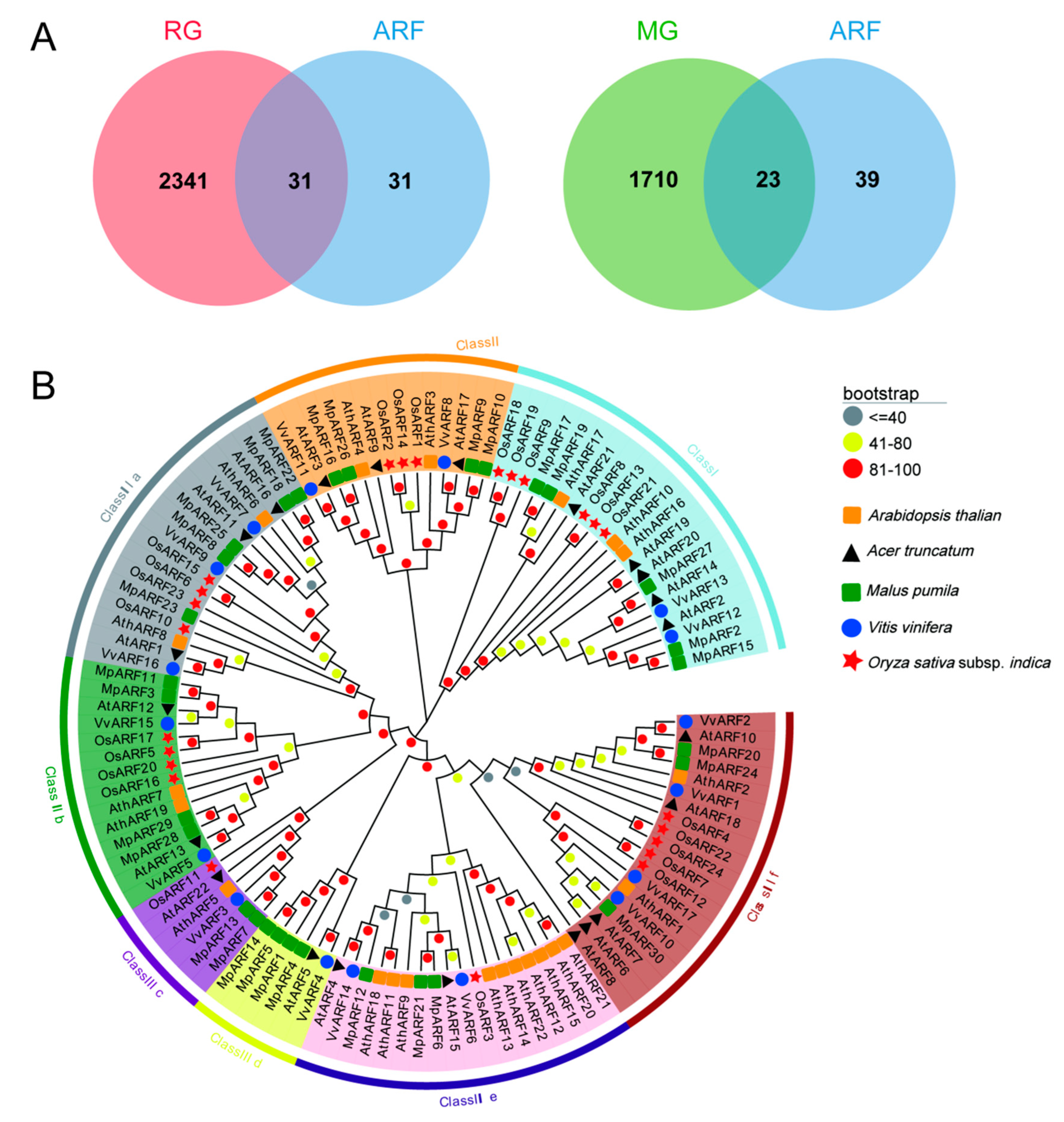 Forests 15 01723 g003