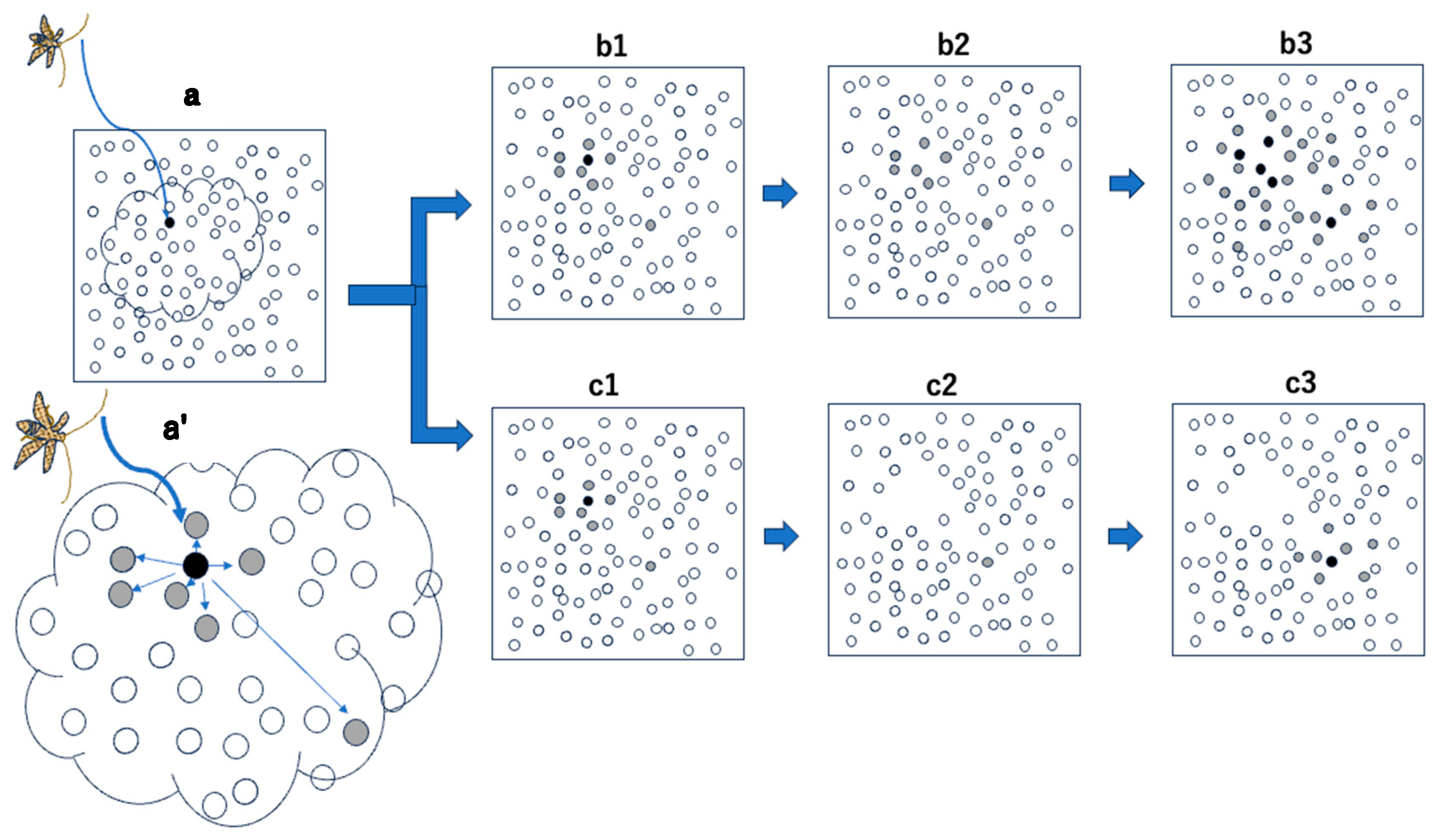 Forests 15 01724 g004