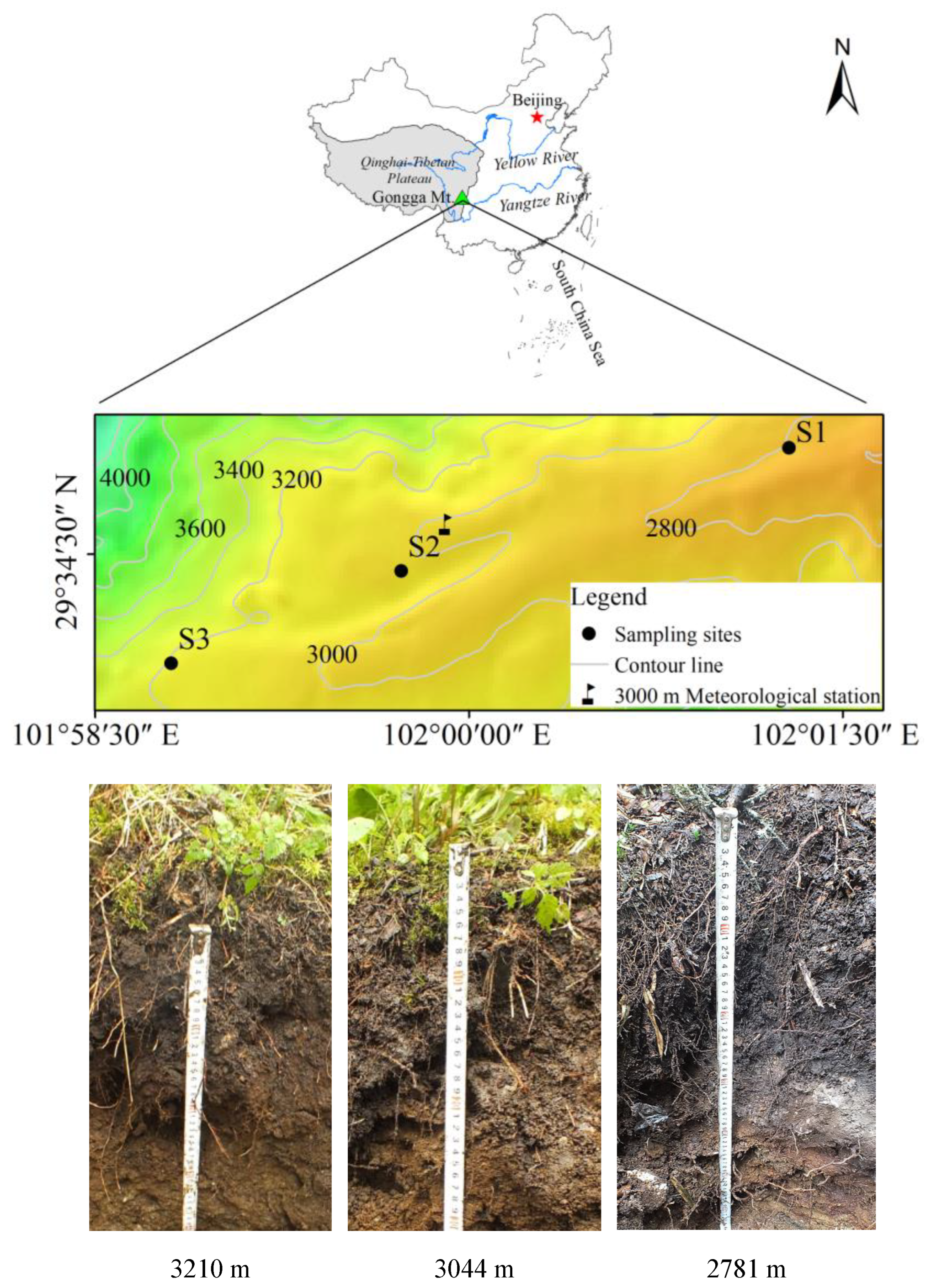 Forests 15 01729 g001