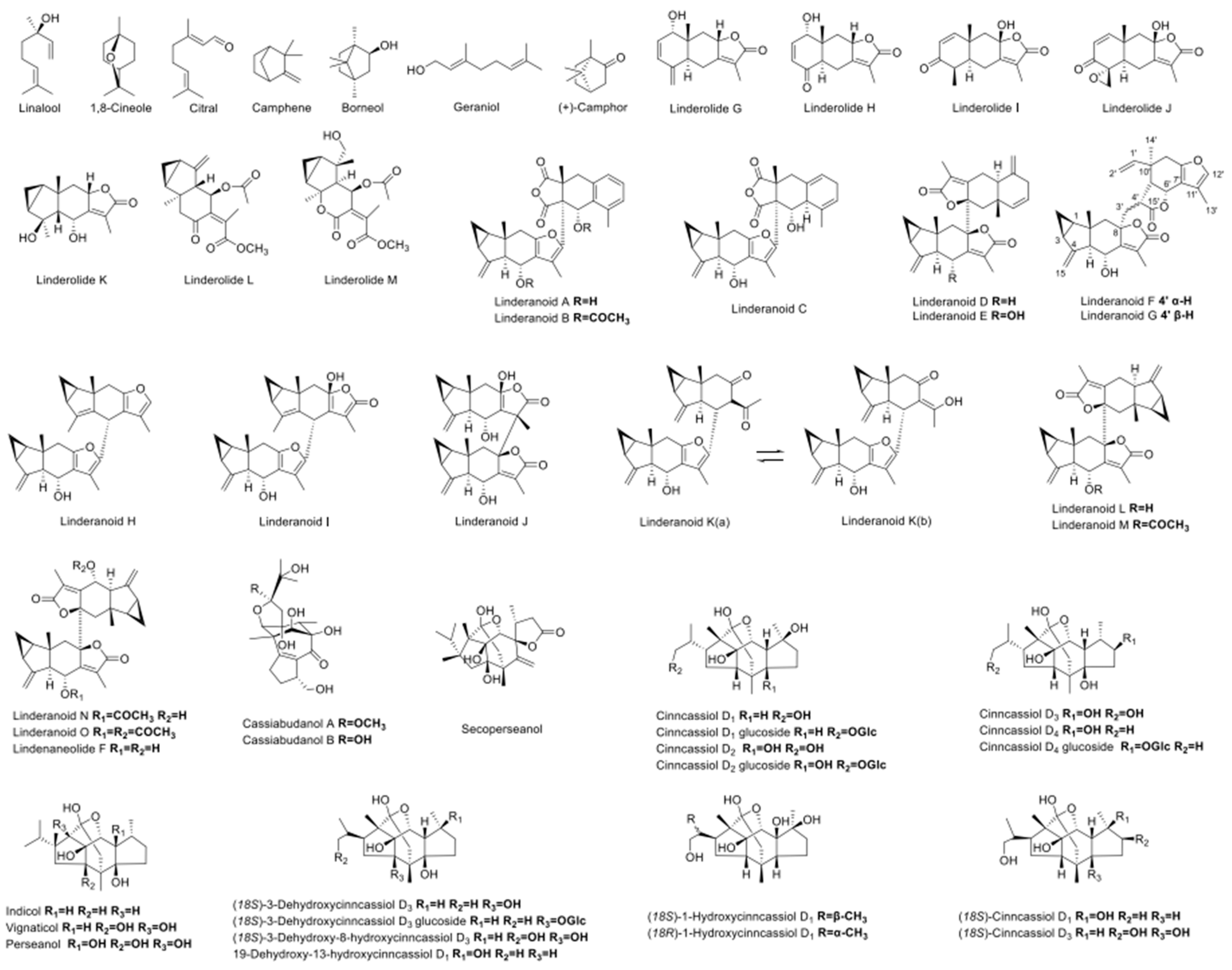 Forests 15 01731 g001