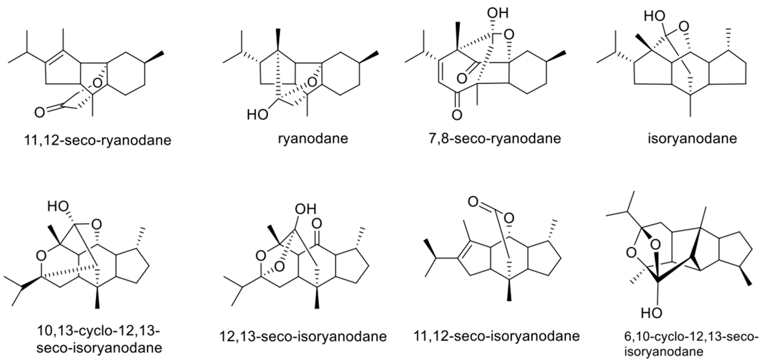 Forests 15 01731 g002