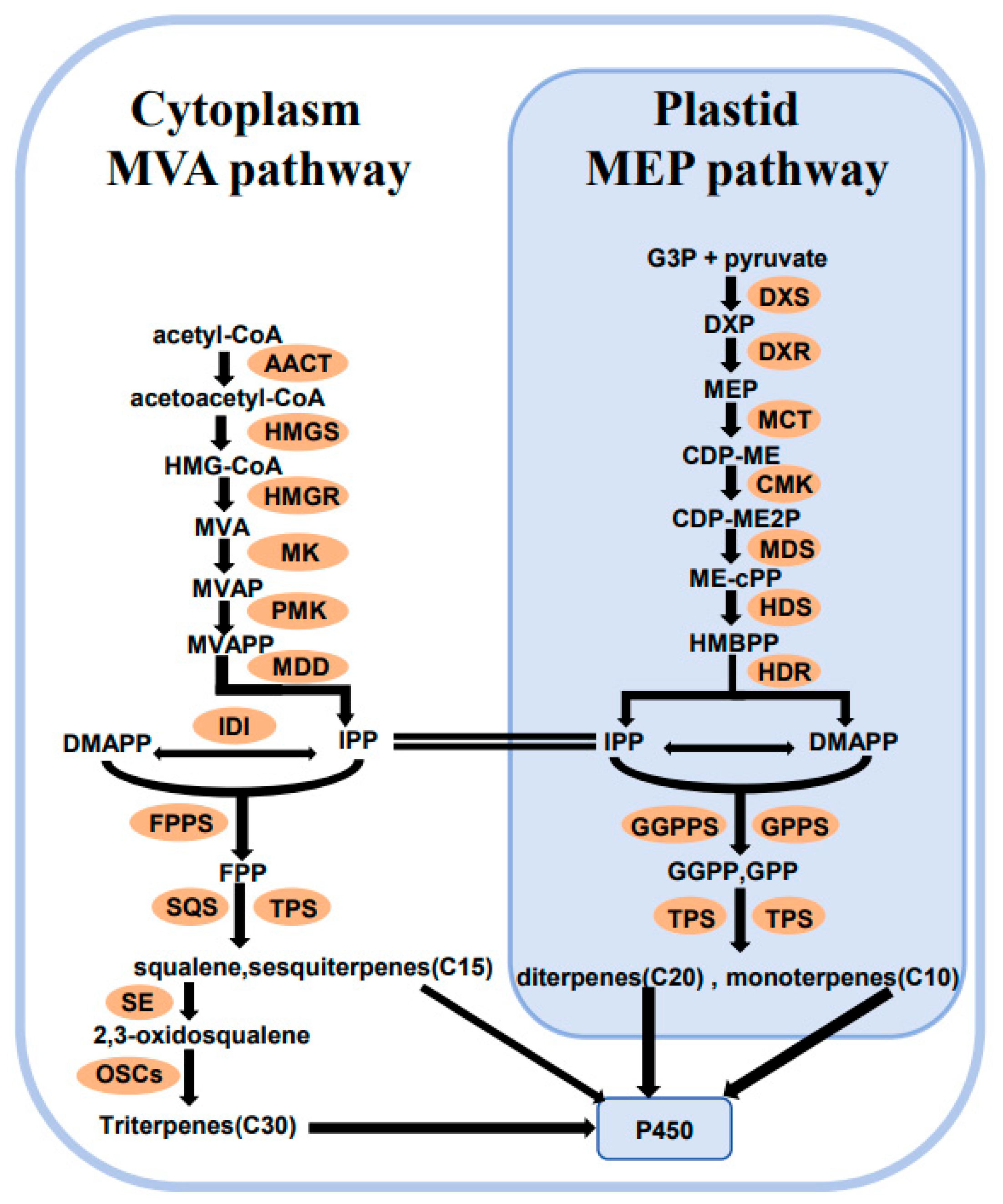 Forests 15 01731 g003