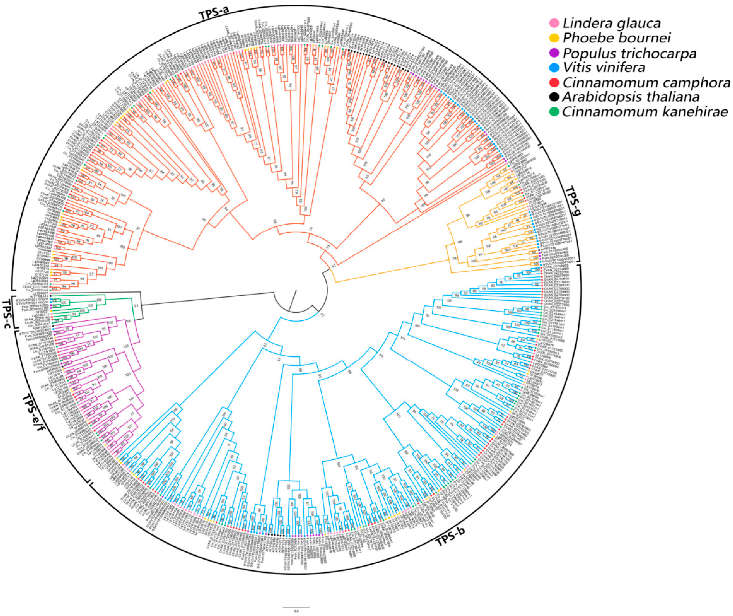Forests 15 01731 g004