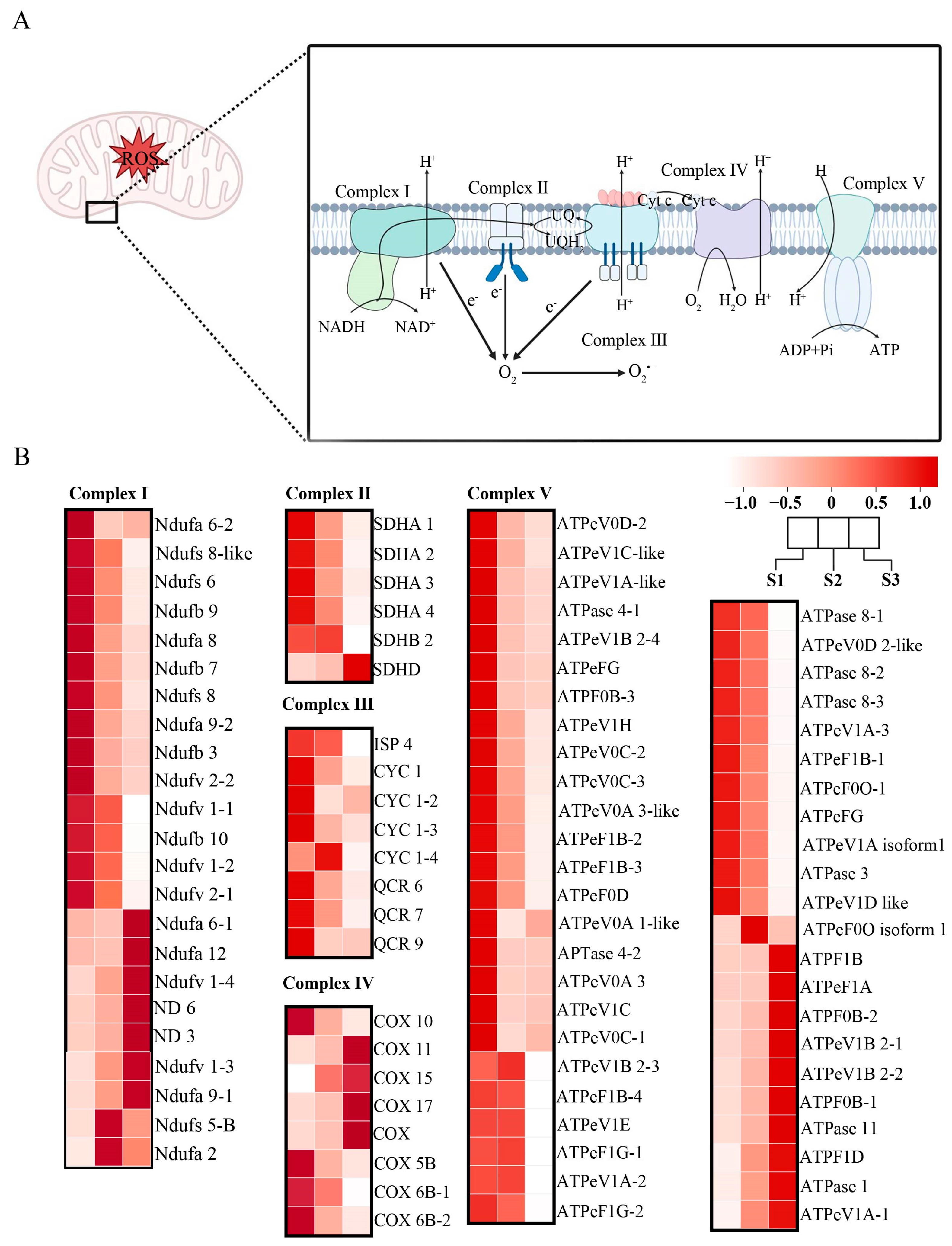 Forests 15 01735 g002