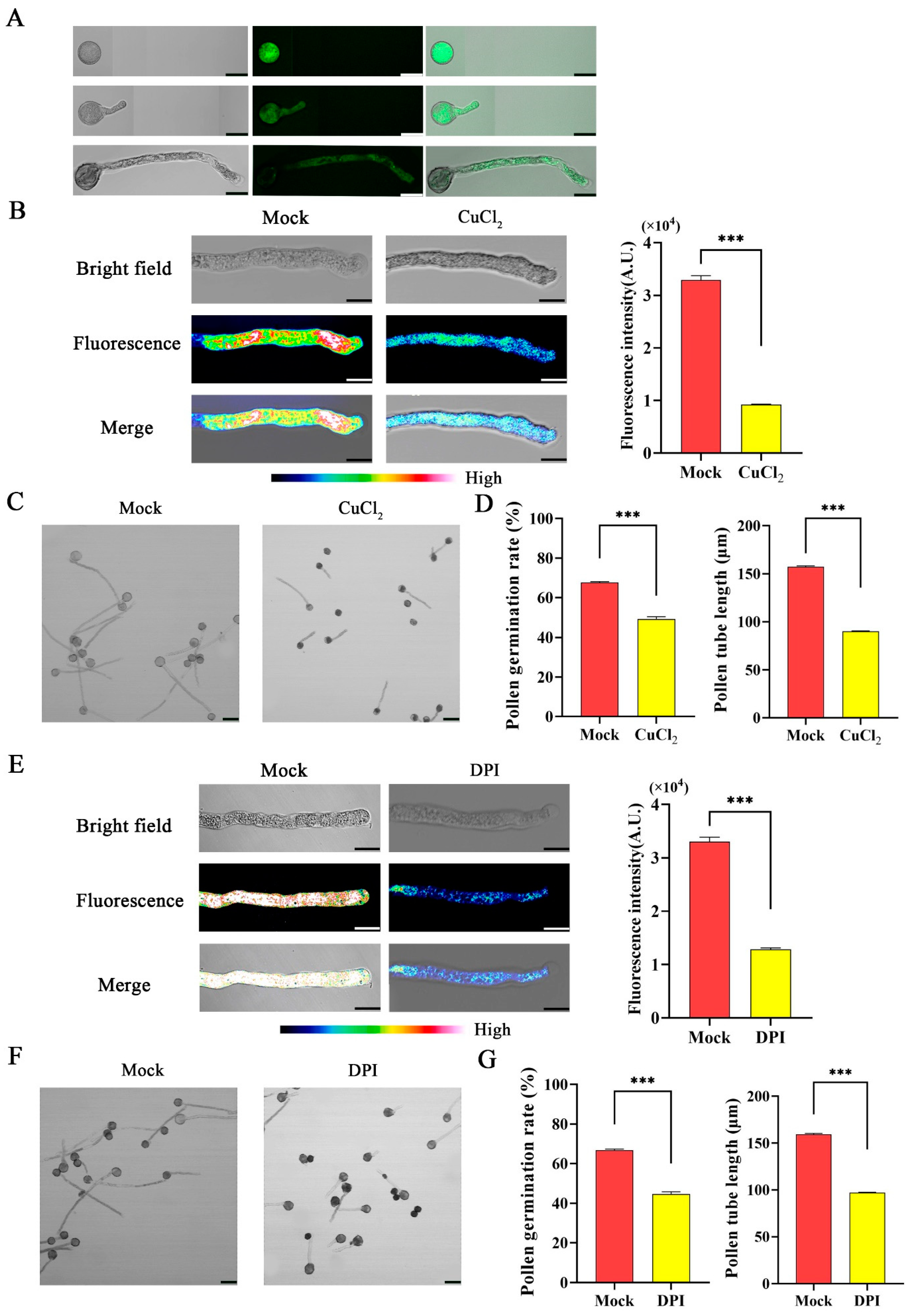 Forests 15 01735 g005