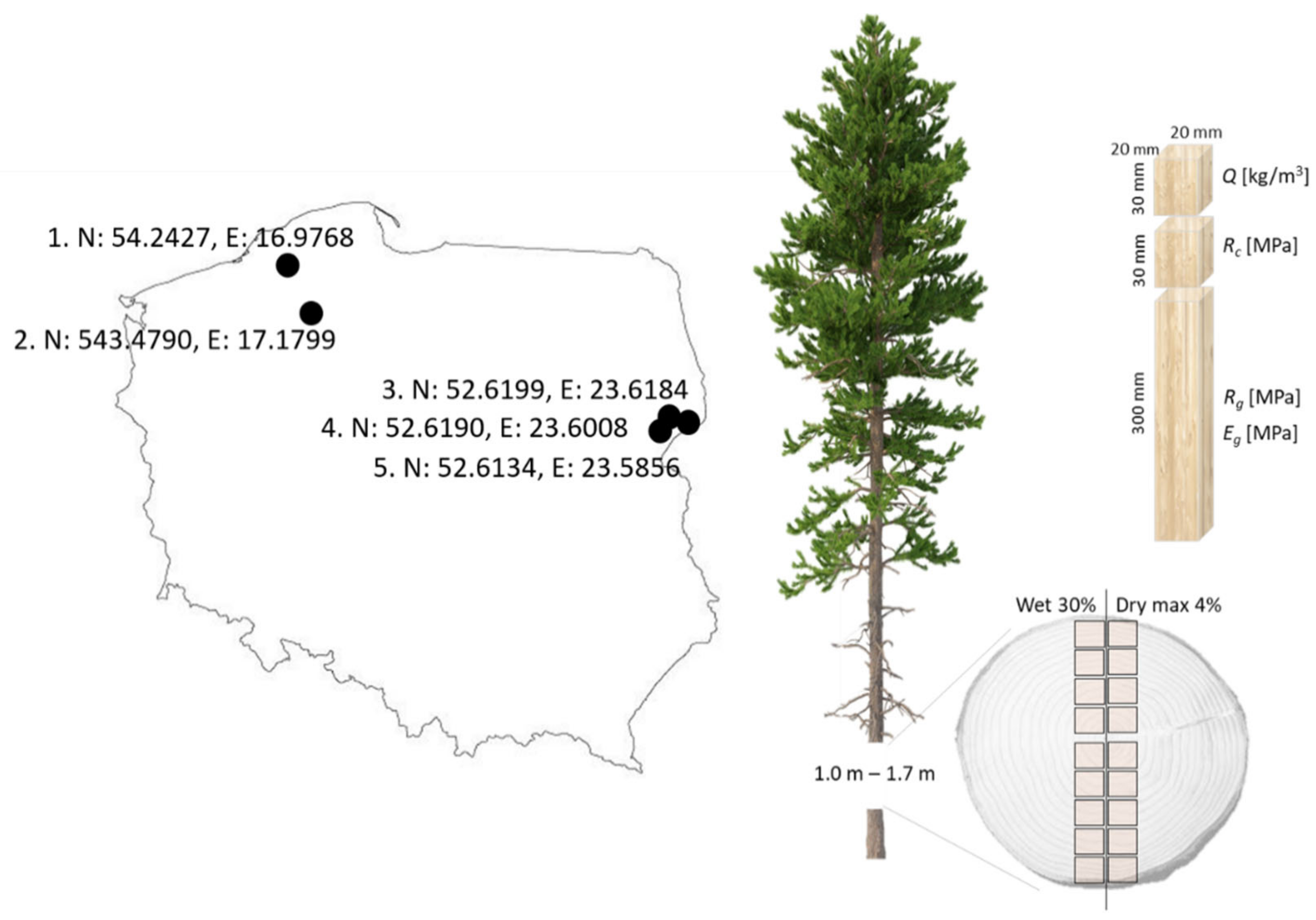 Forests 15 01737 g001