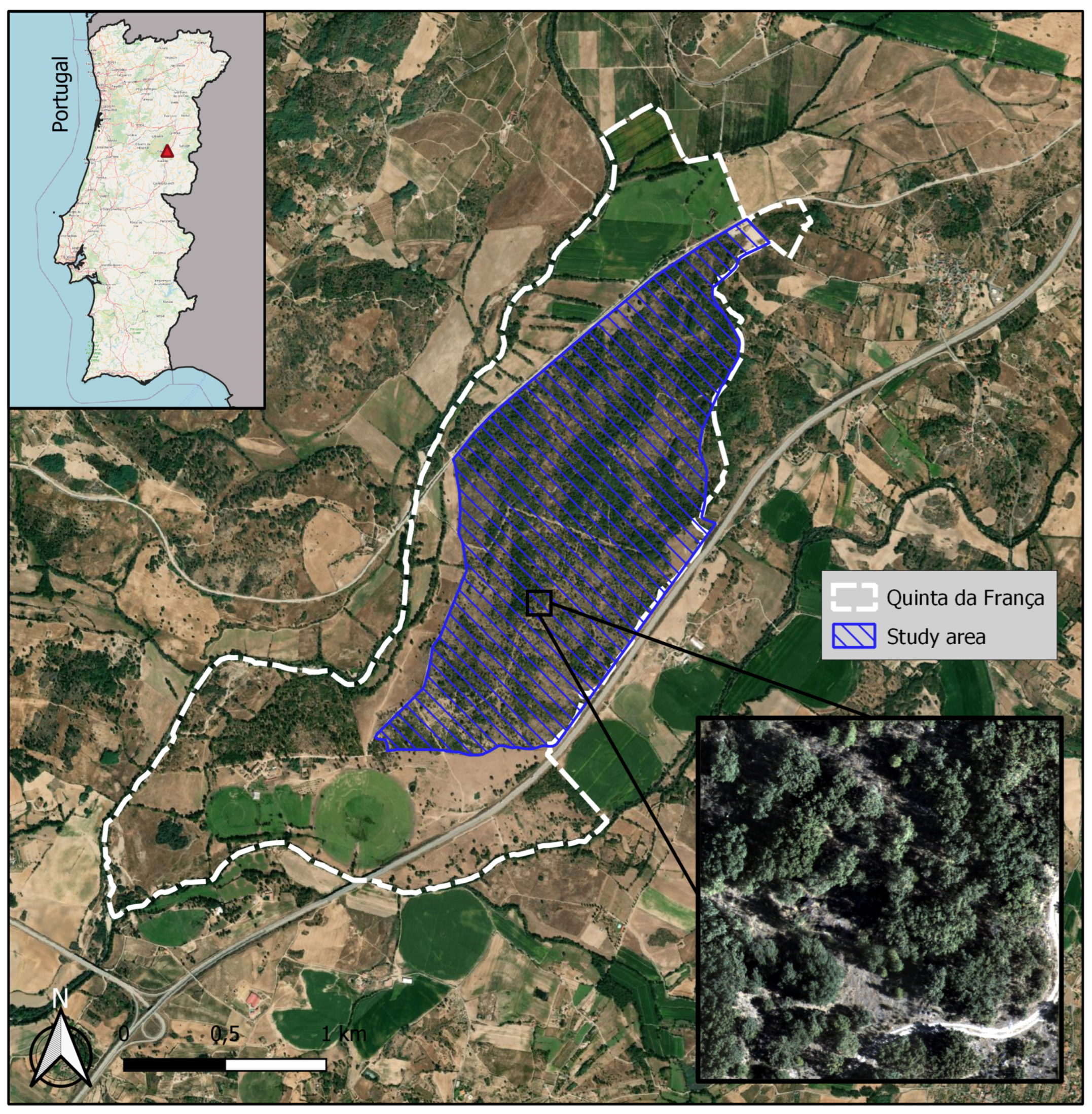 Forests 15 01739 g001