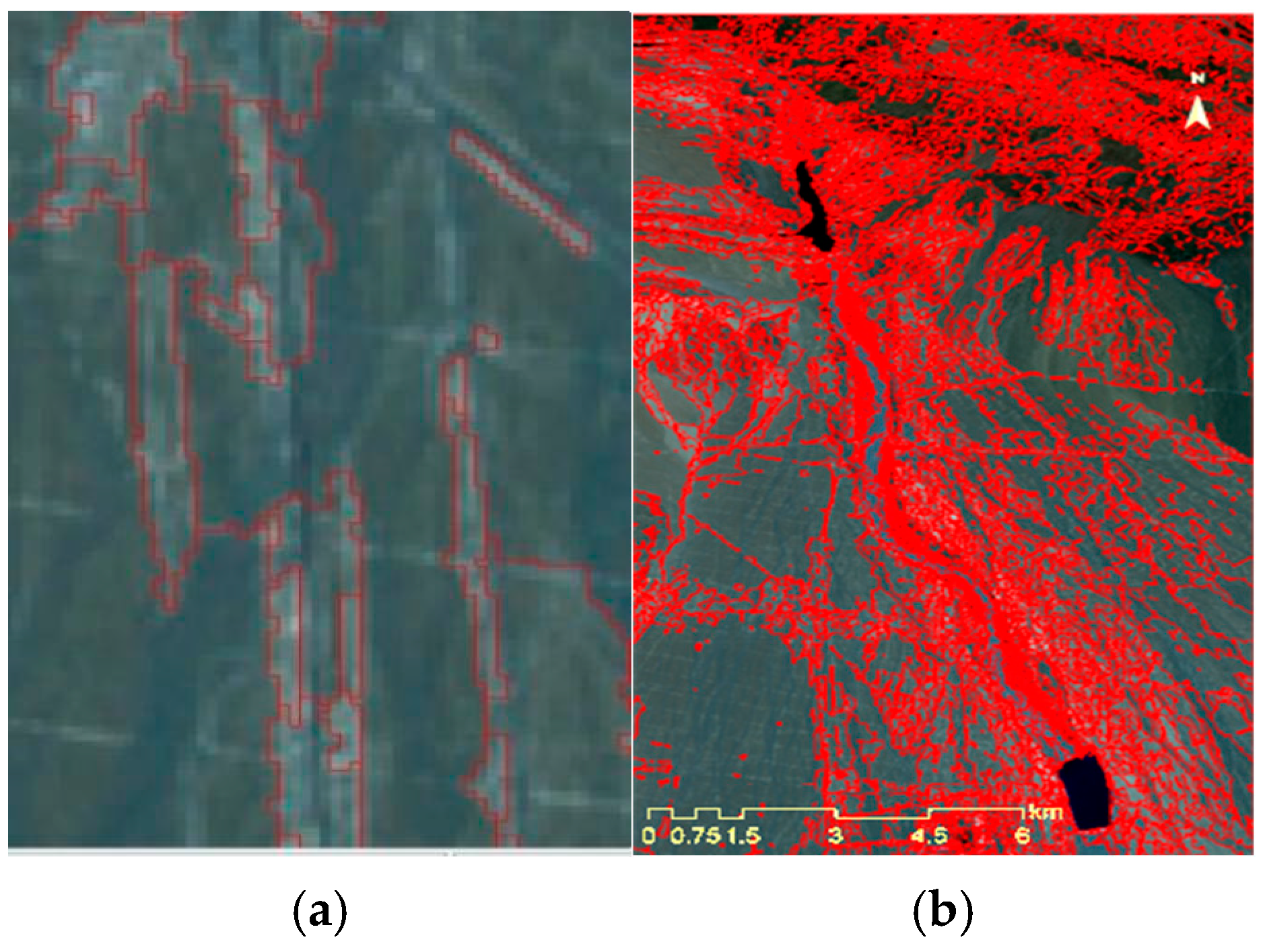 Forests 15 01749 g005
