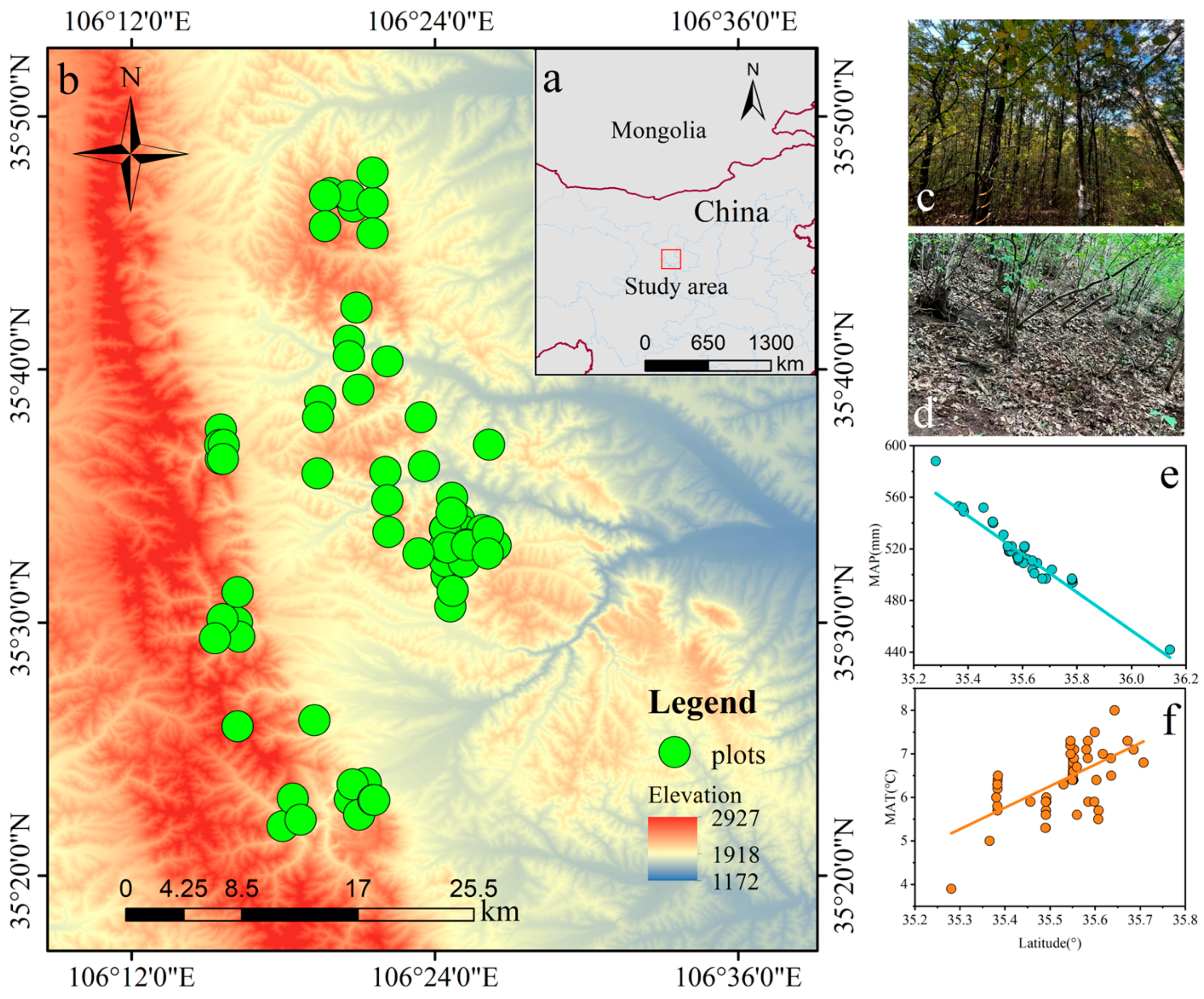 Forests 15 01750 g001