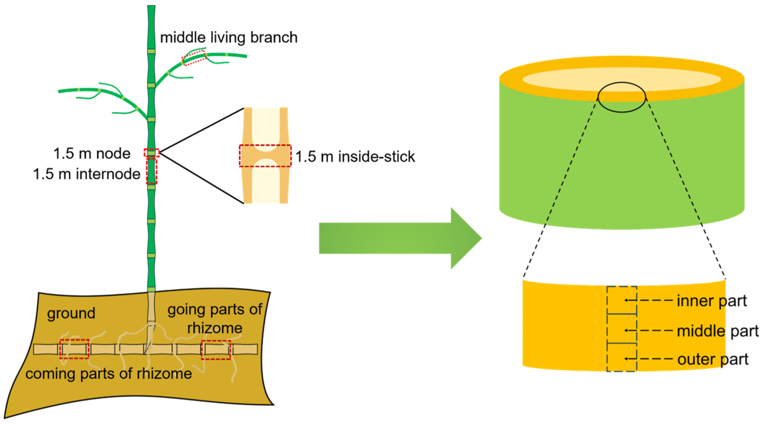 Forests 15 01752 g001