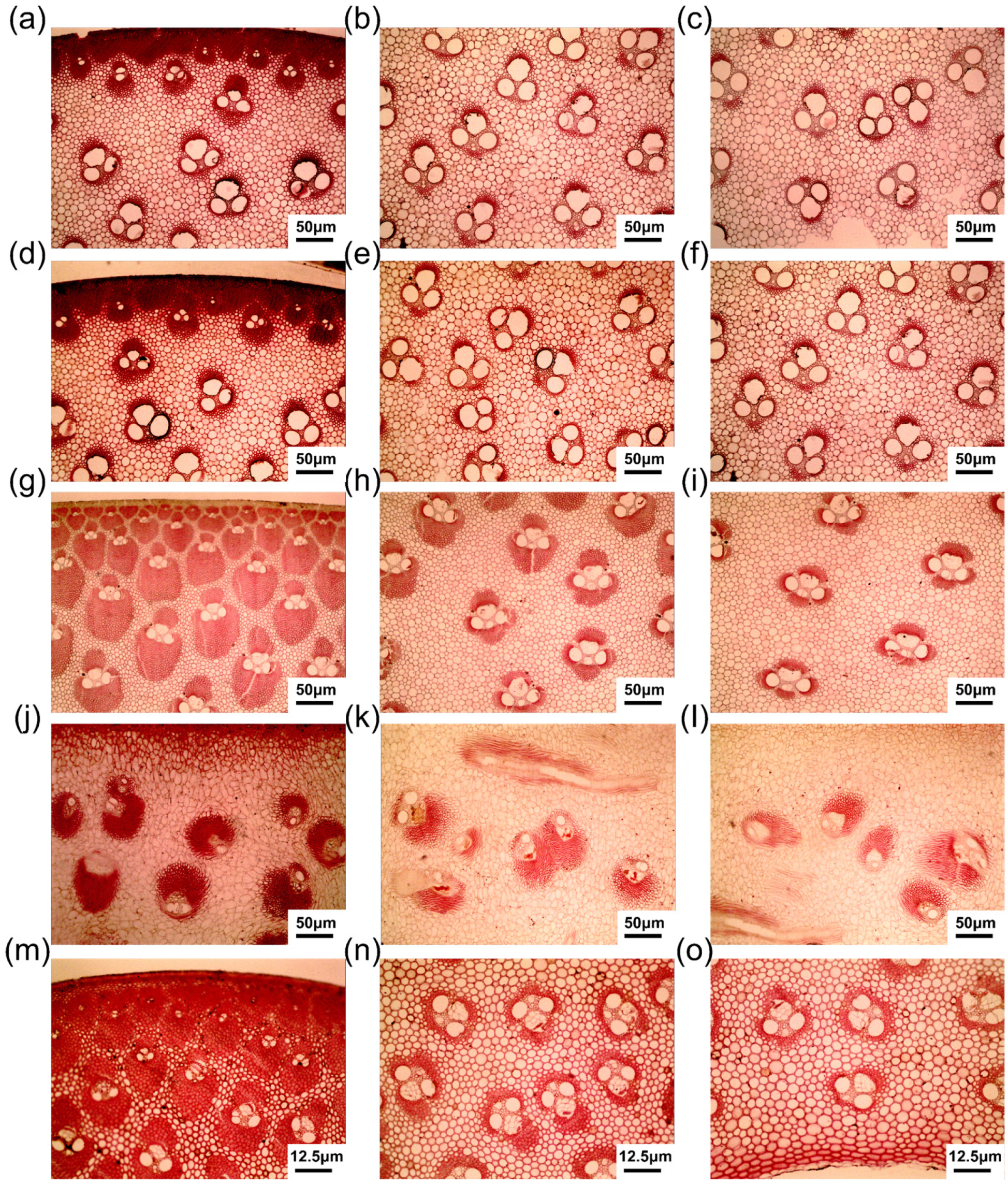 Forests 15 01752 g003