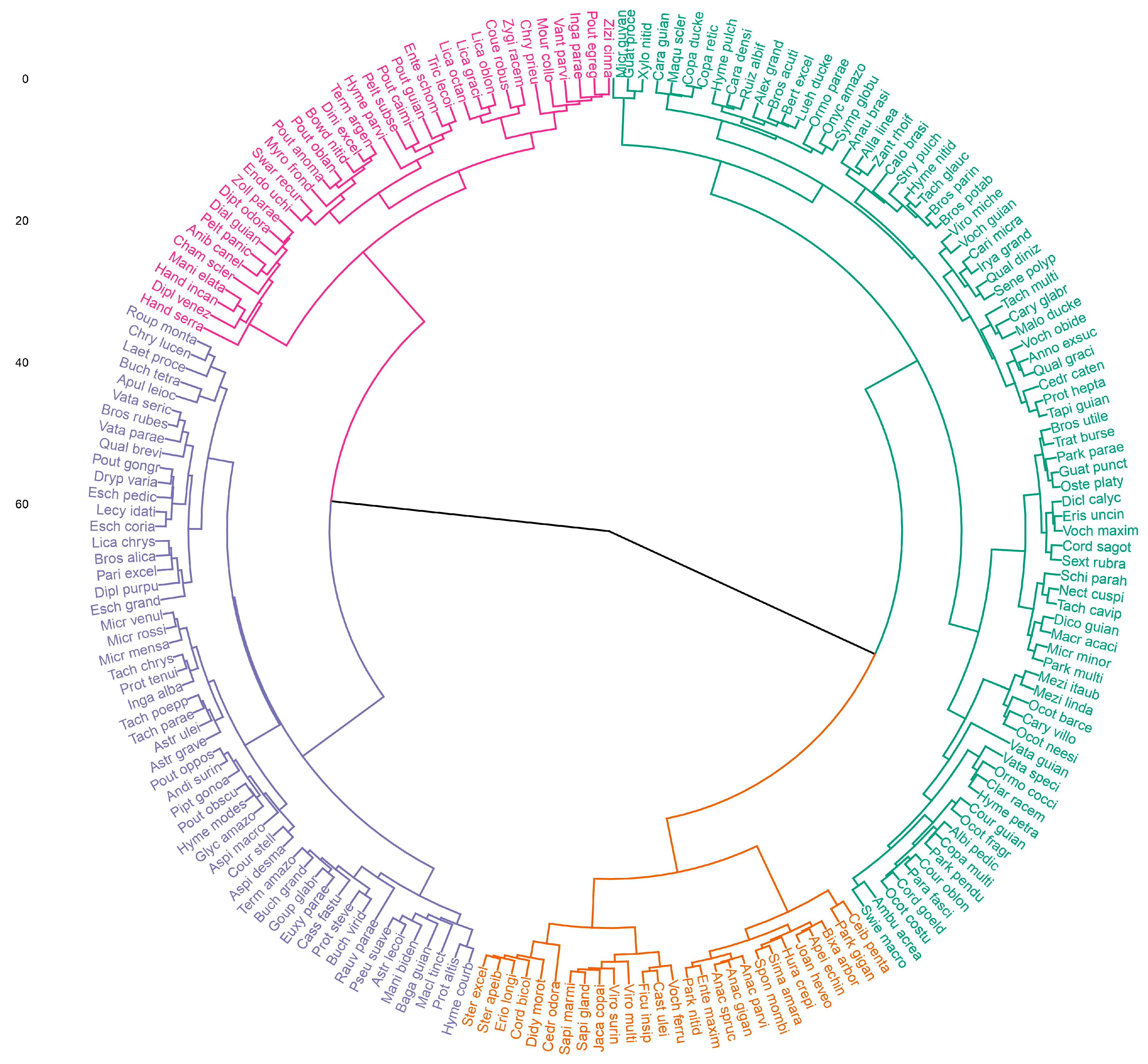 Forests 15 01763 g002 Forests 15 01763 g002