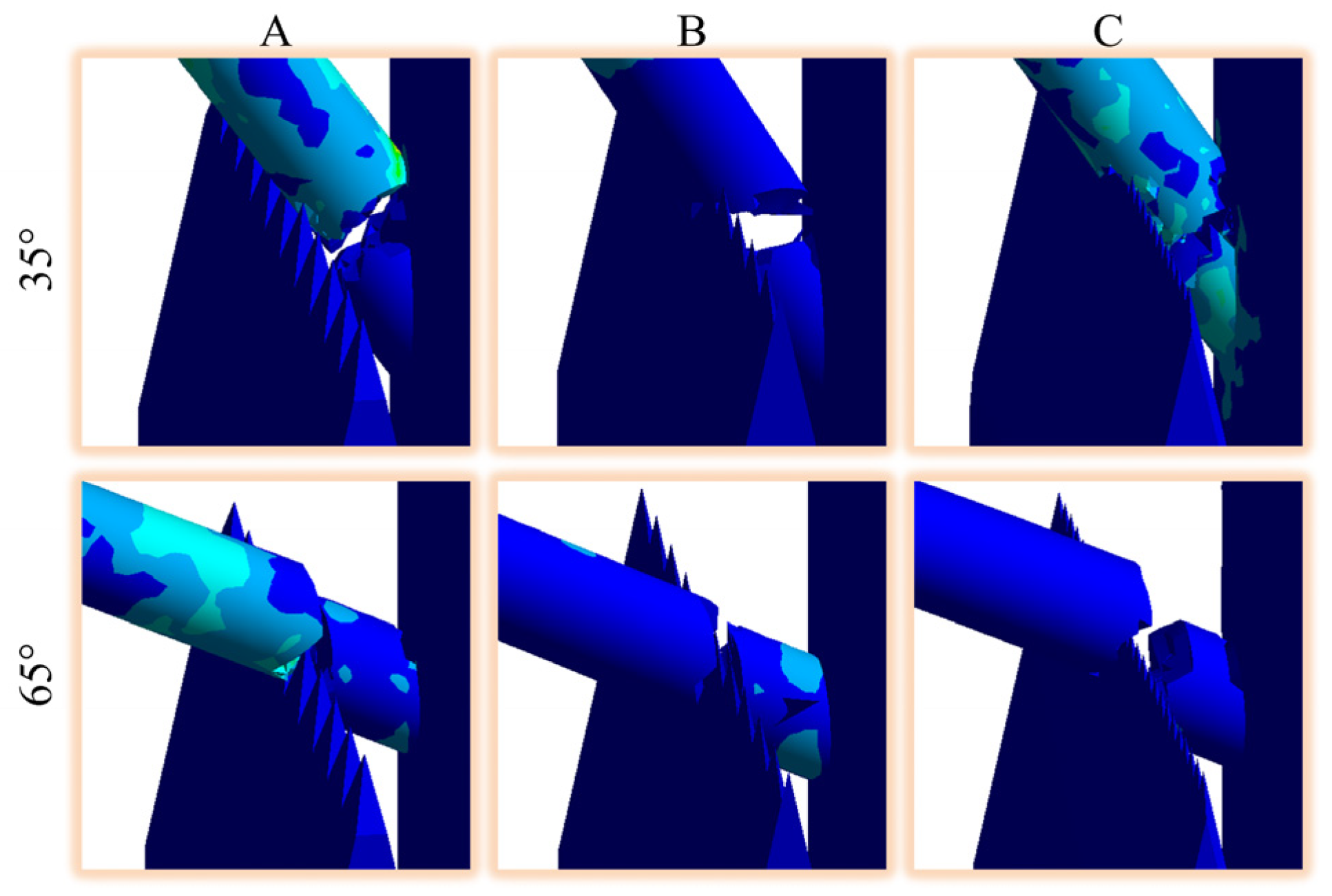 Forests 15 01765 g012