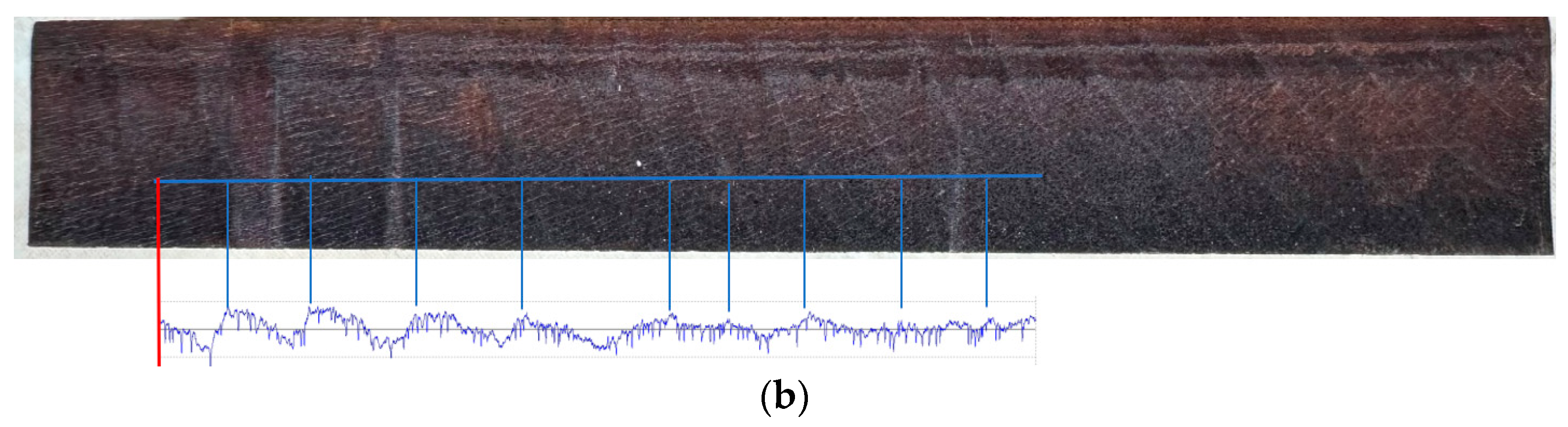 Forests 15 01767 g007b