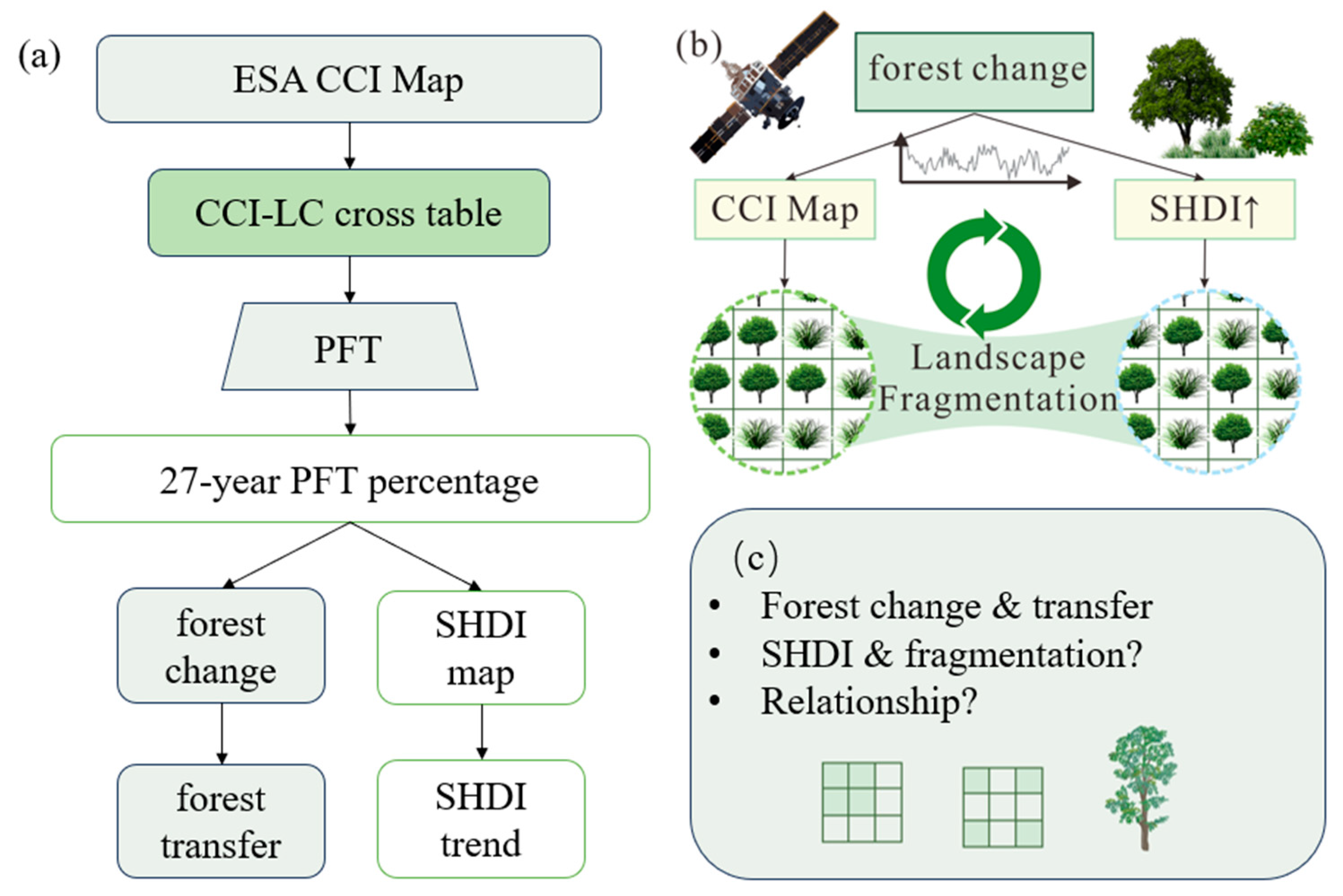 Forests 15 01768 g002