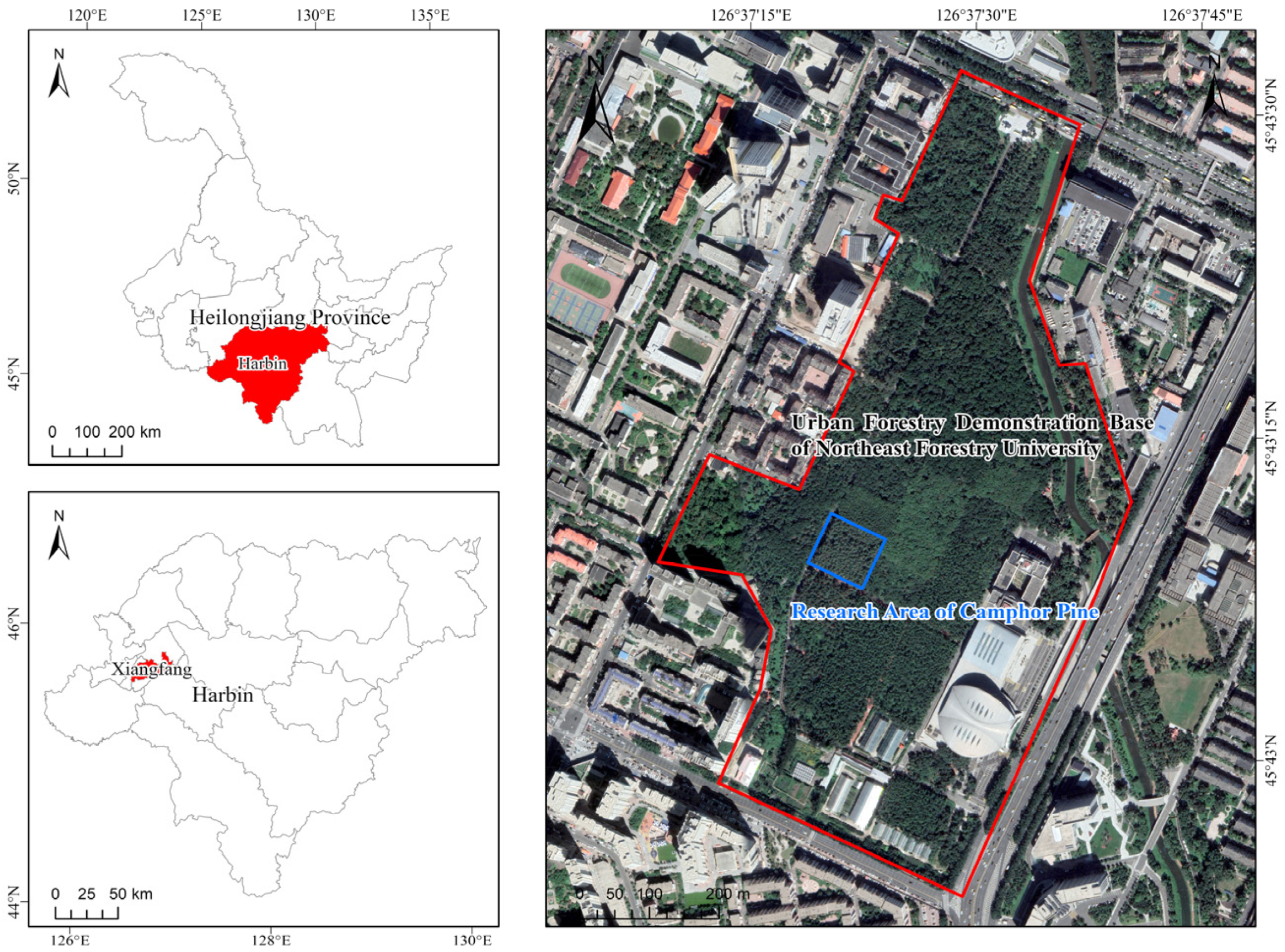 Forests 15 01776 g001