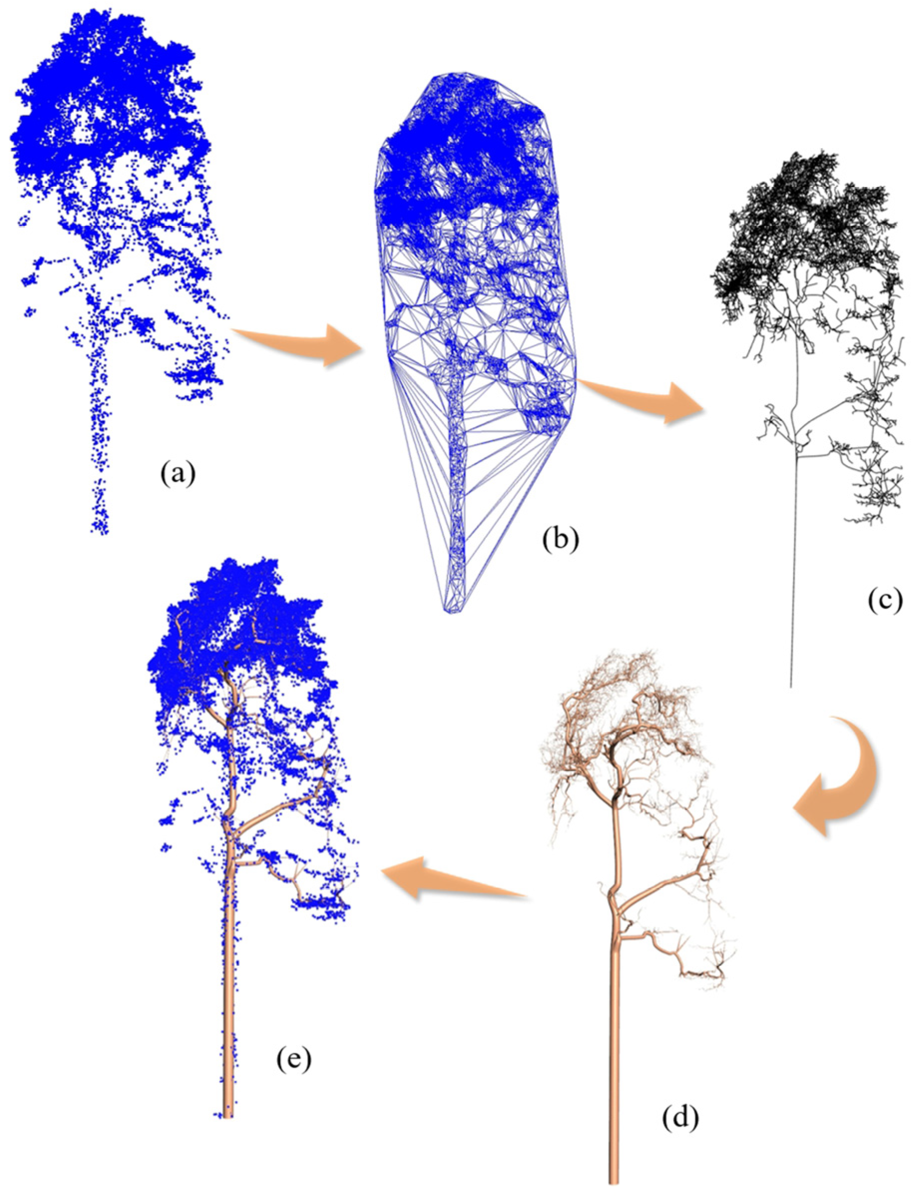 Forests 15 01776 g004