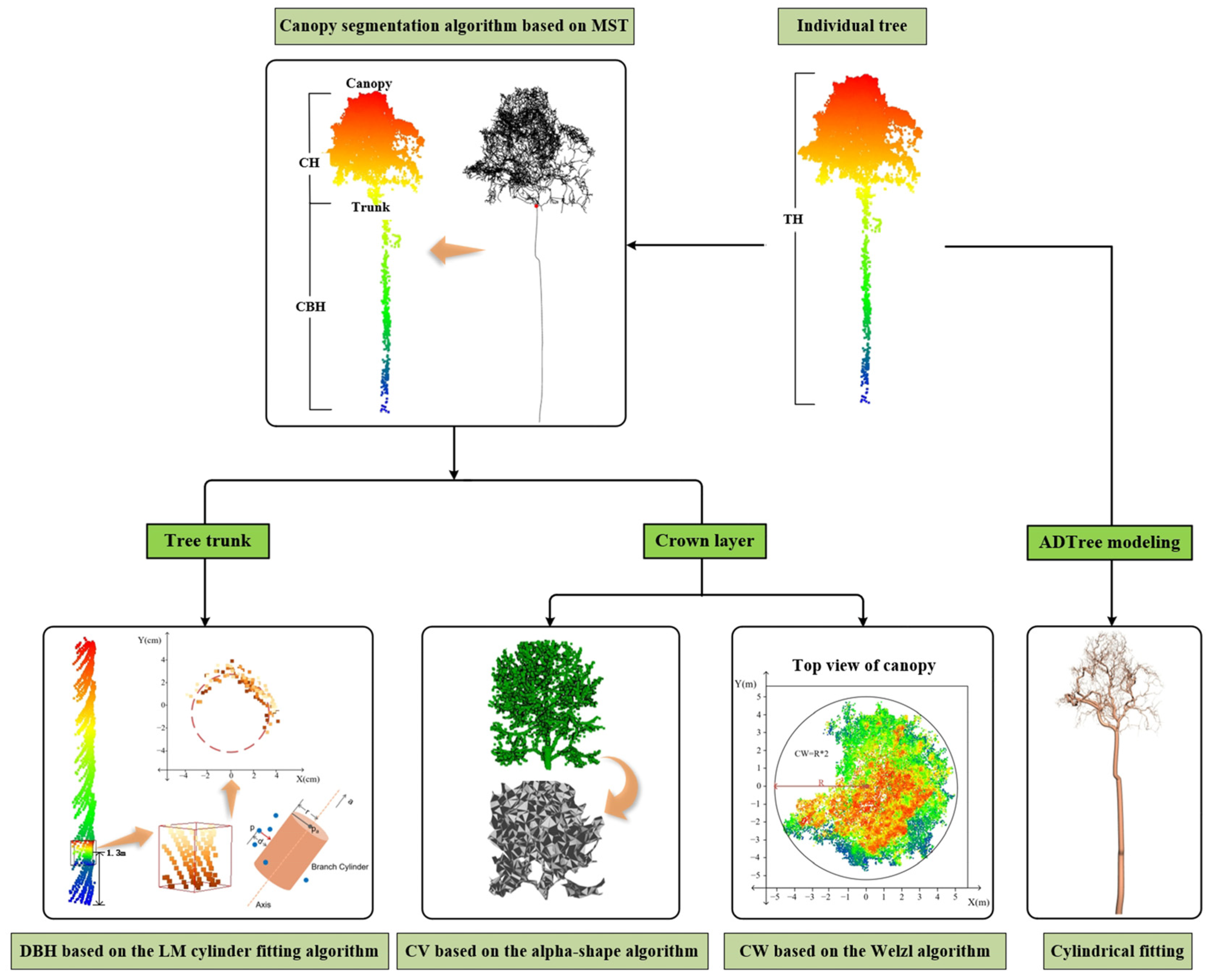 Forests 15 01776 g005