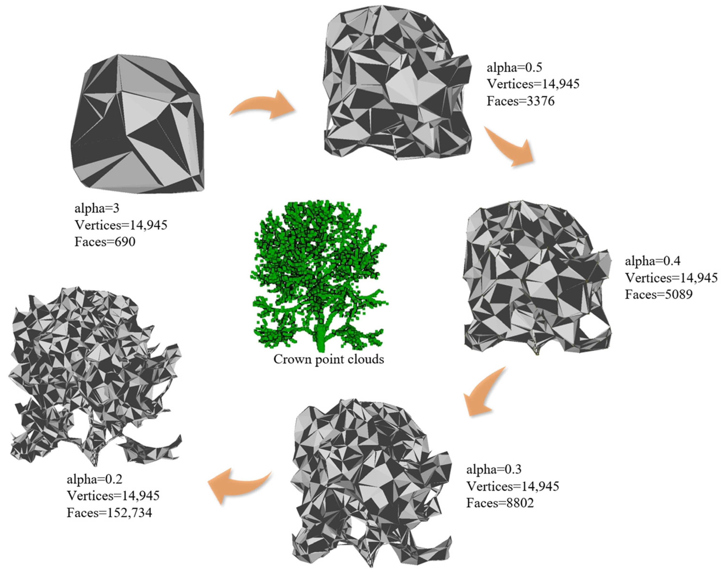 Forests 15 01776 g010