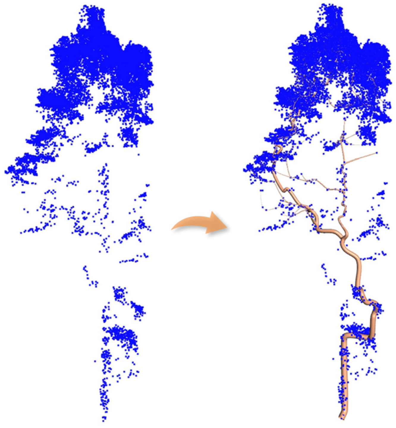 Forests 15 01776 g014