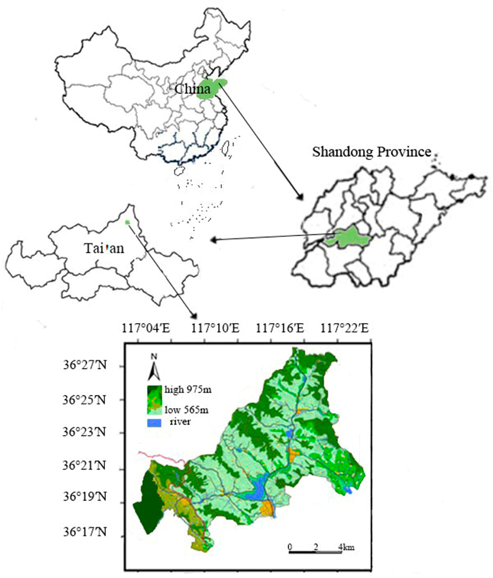 Forests 15 01784 g001