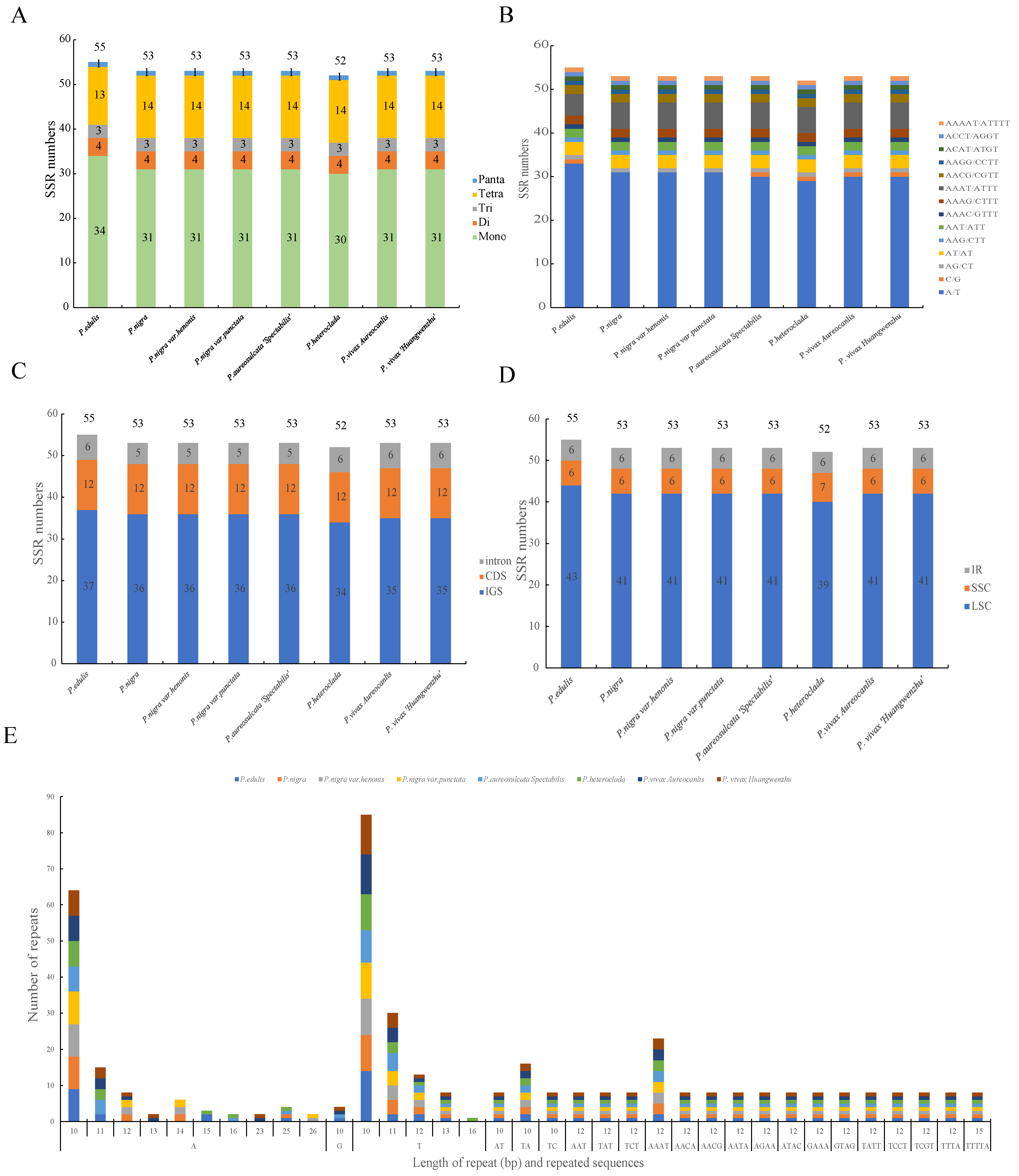 Forests 15 01785 g005