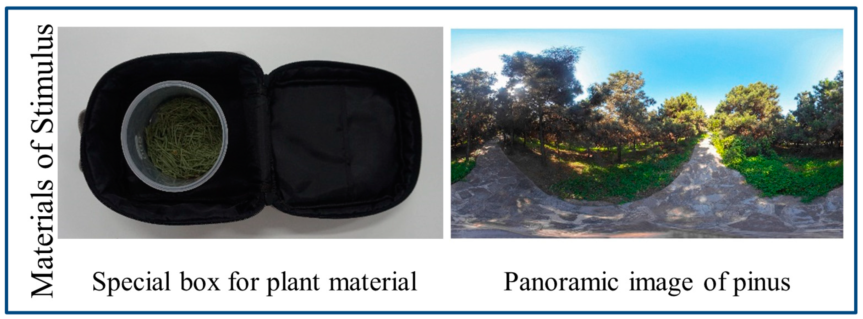 Forests 15 01794 g002 Forests 15 01794 g002