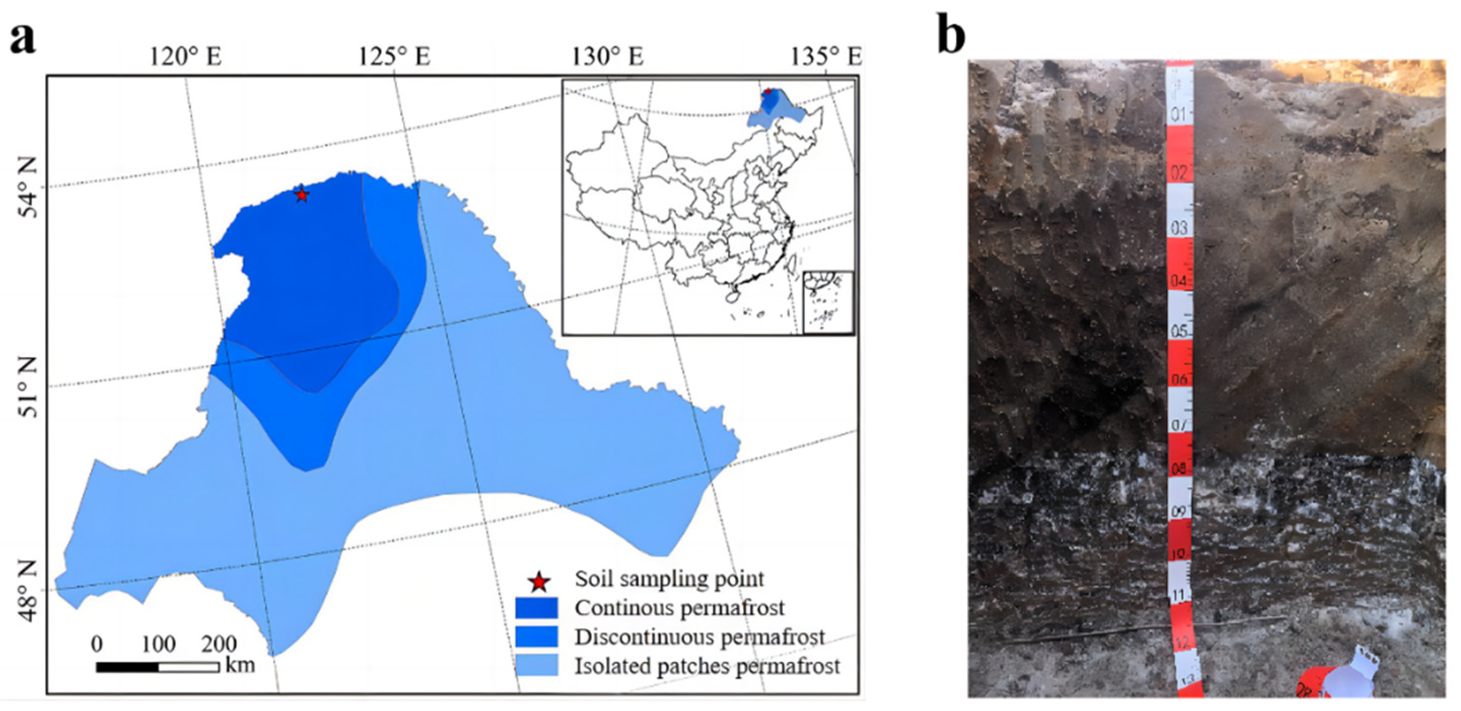 Forests 15 01797 g001 Forests 15 01797 g001